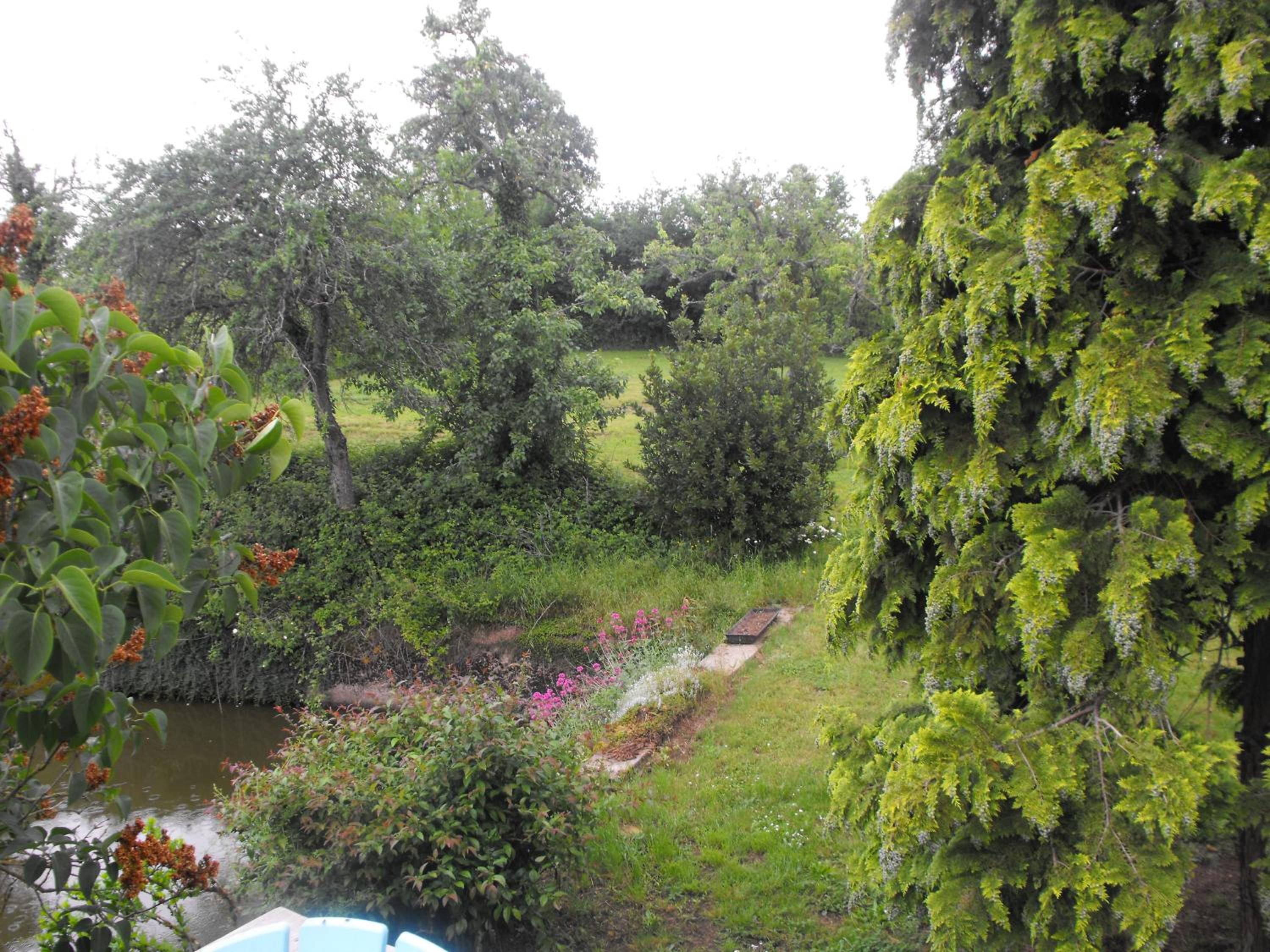 Photo 33