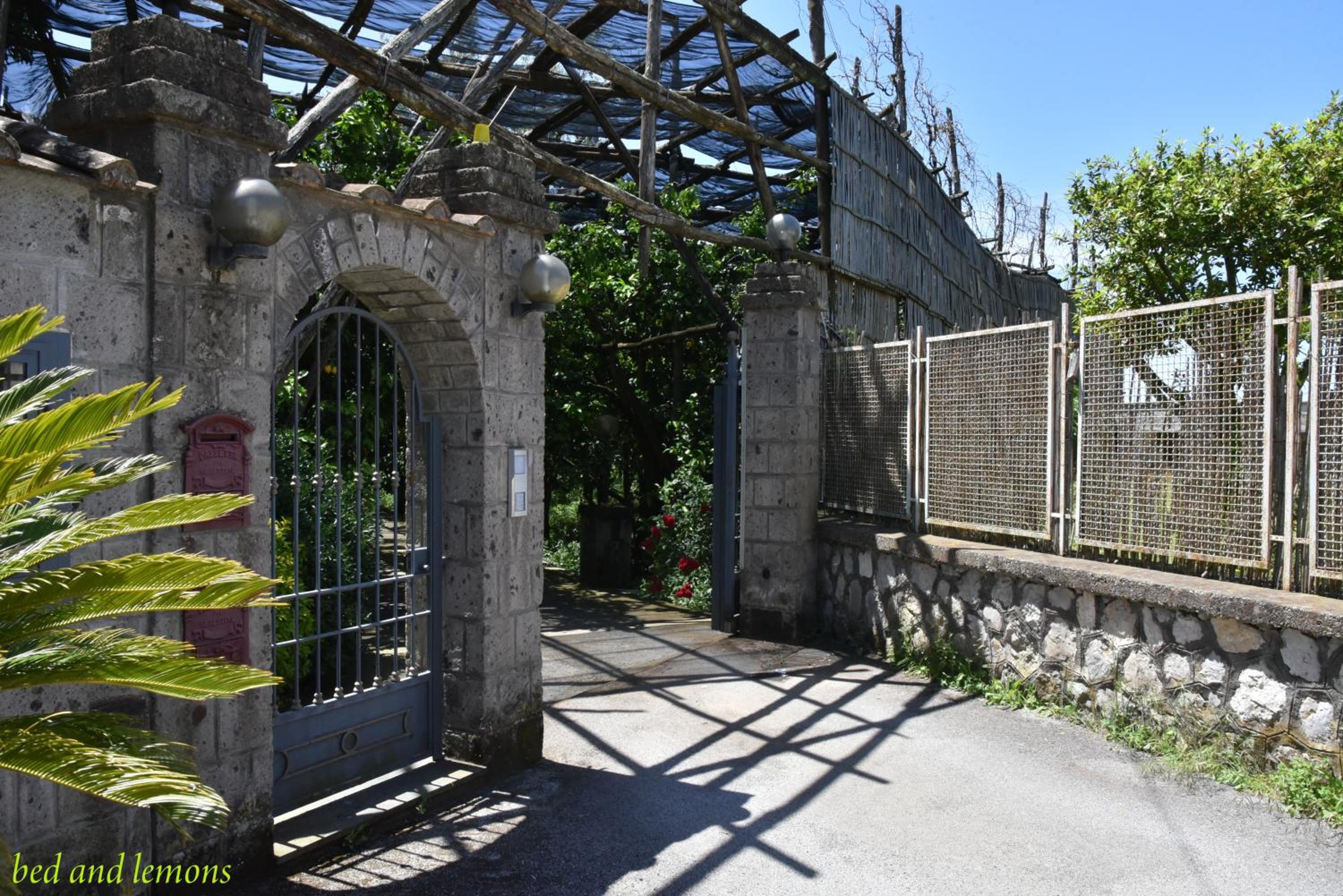 Photo 45