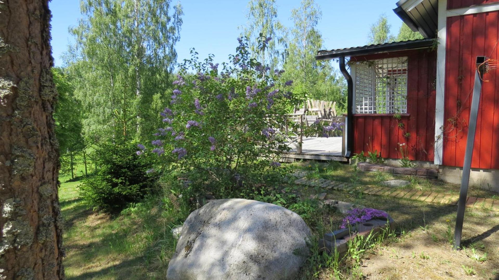Photo 42