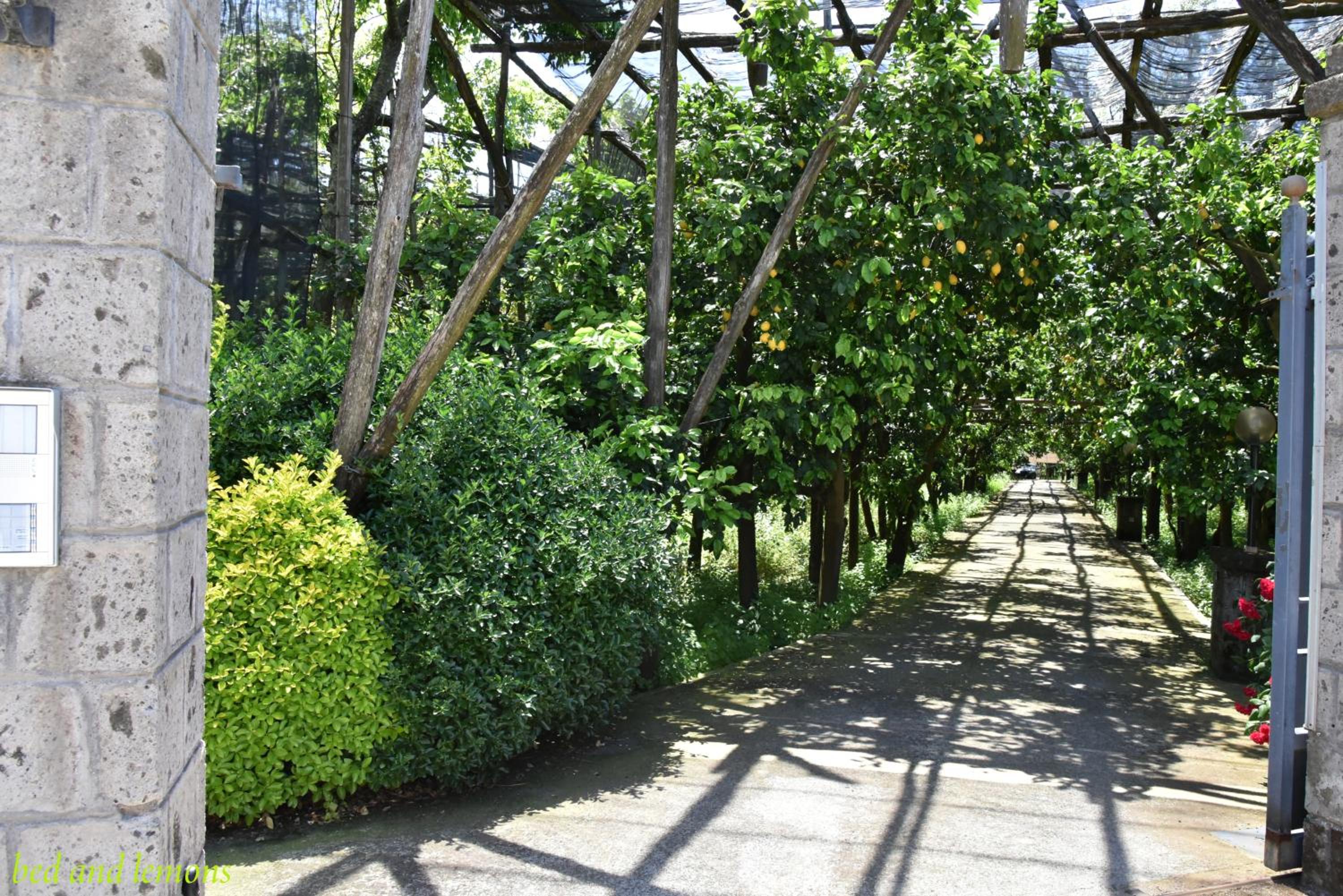 Photo 48