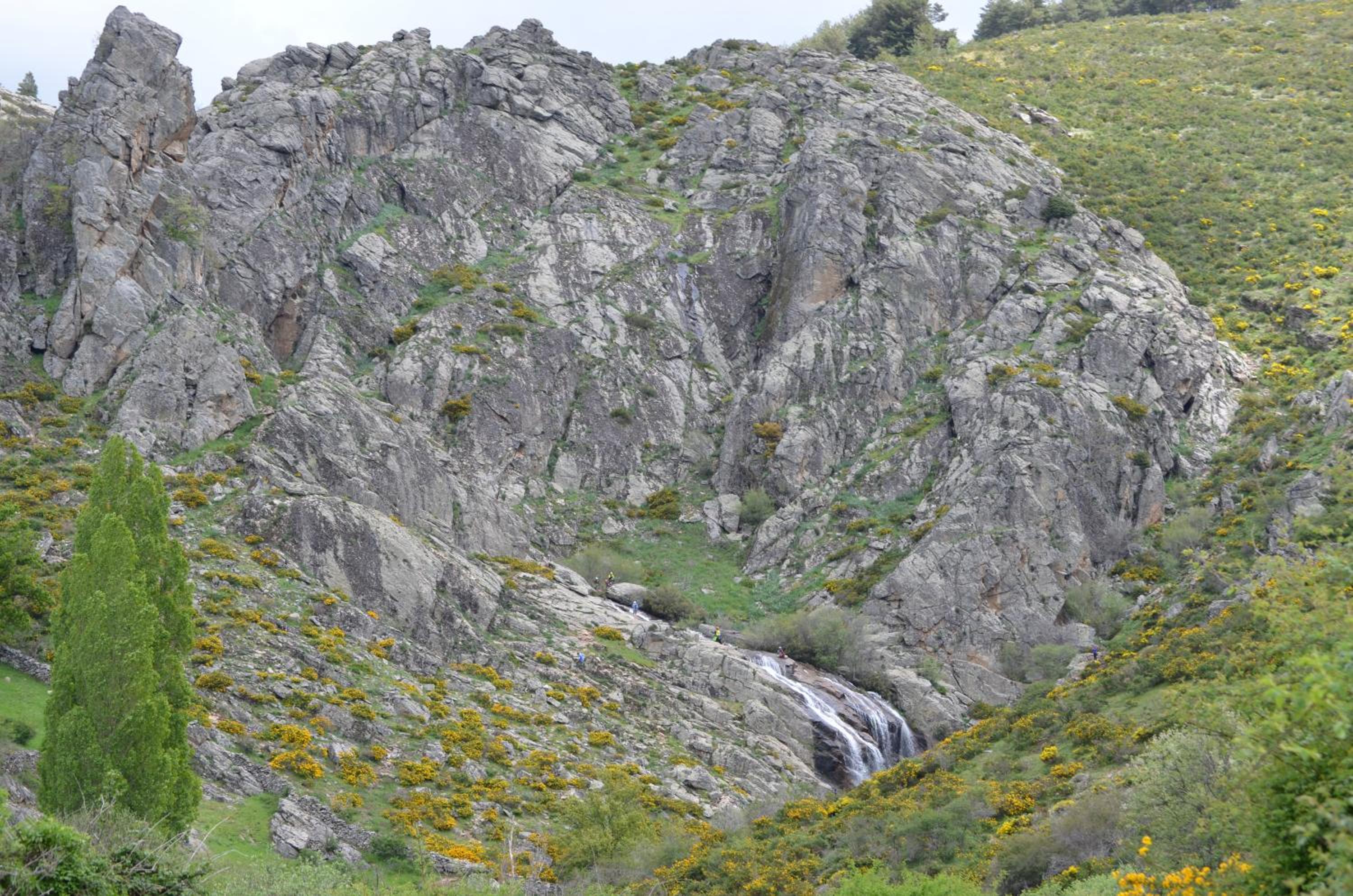 Photo 29