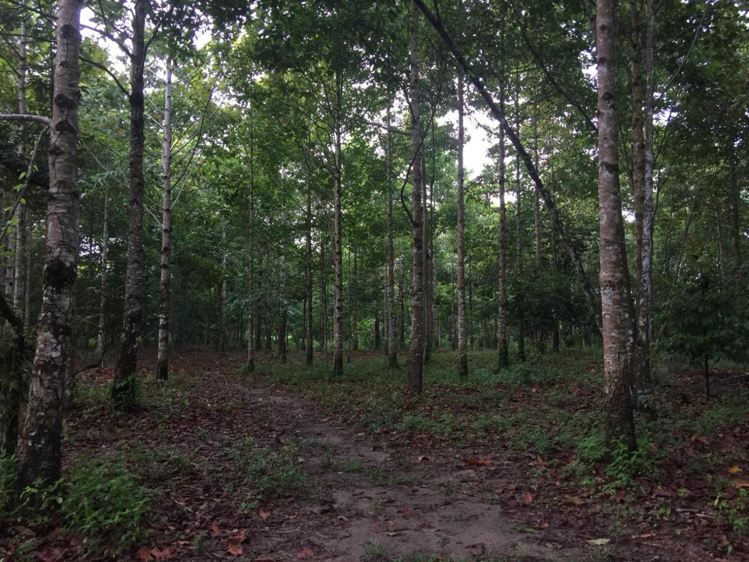 Cozycomo Chanthaburi