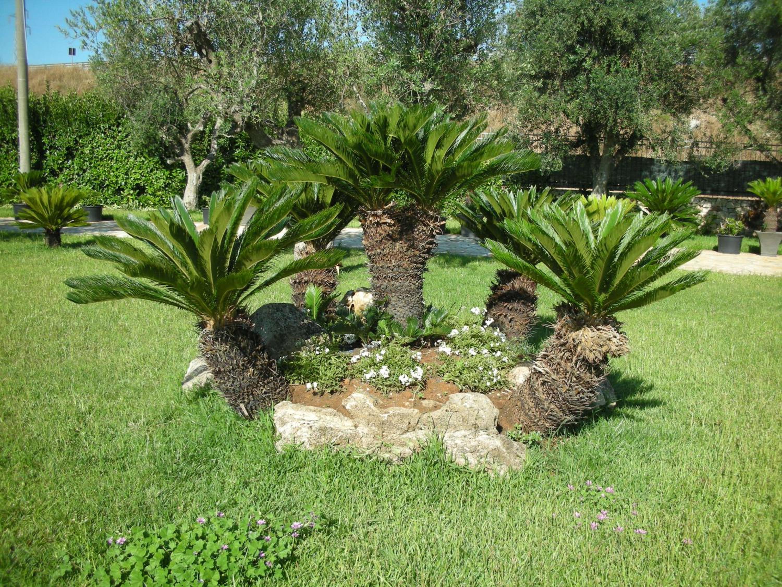 garden