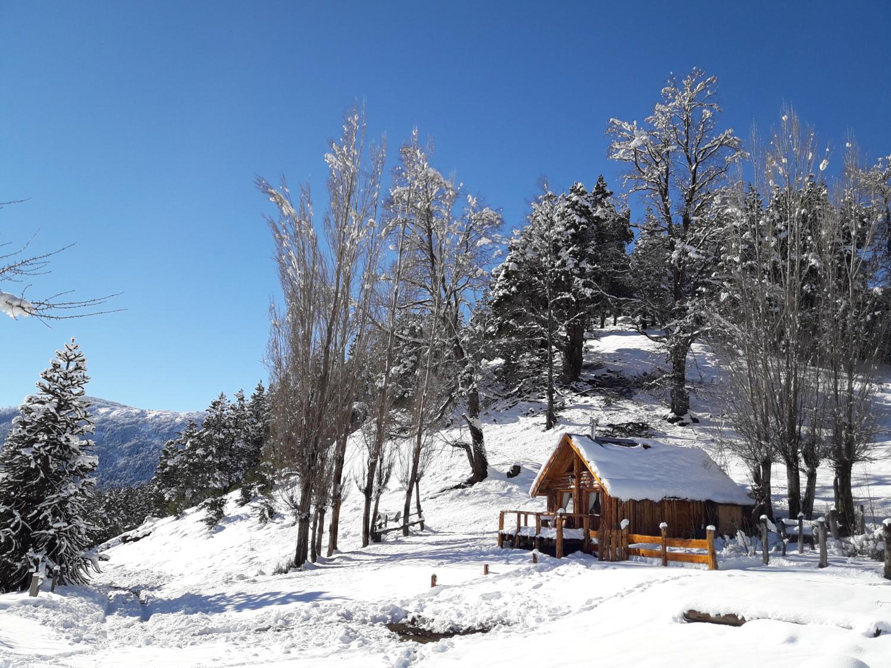 El Cipresal- Cabaña Epuyen