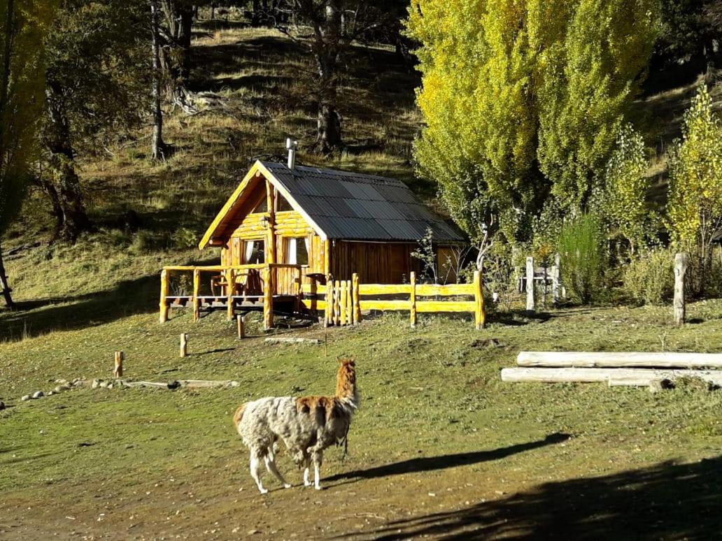 El Cipresal- Cabaña Epuyen