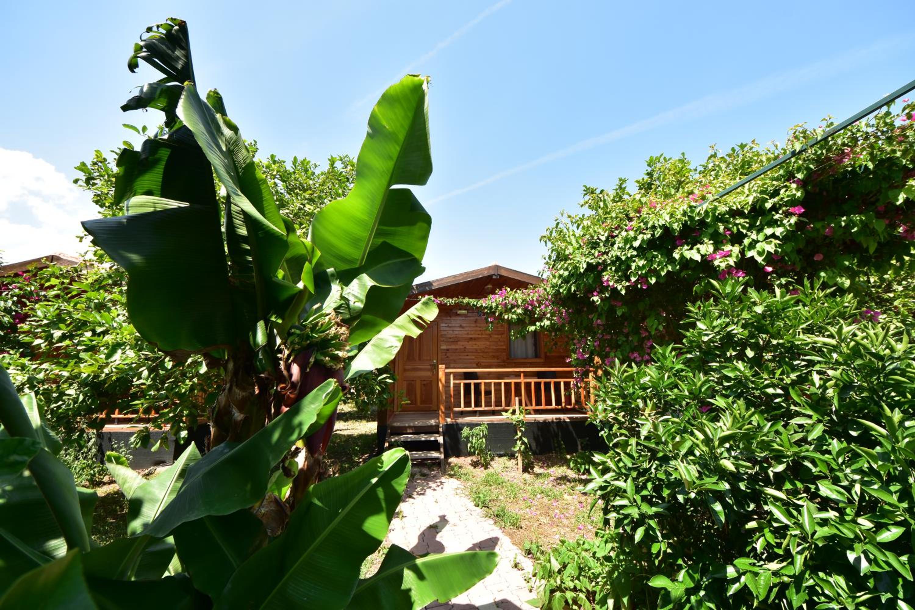 Lemon Garden Lodge