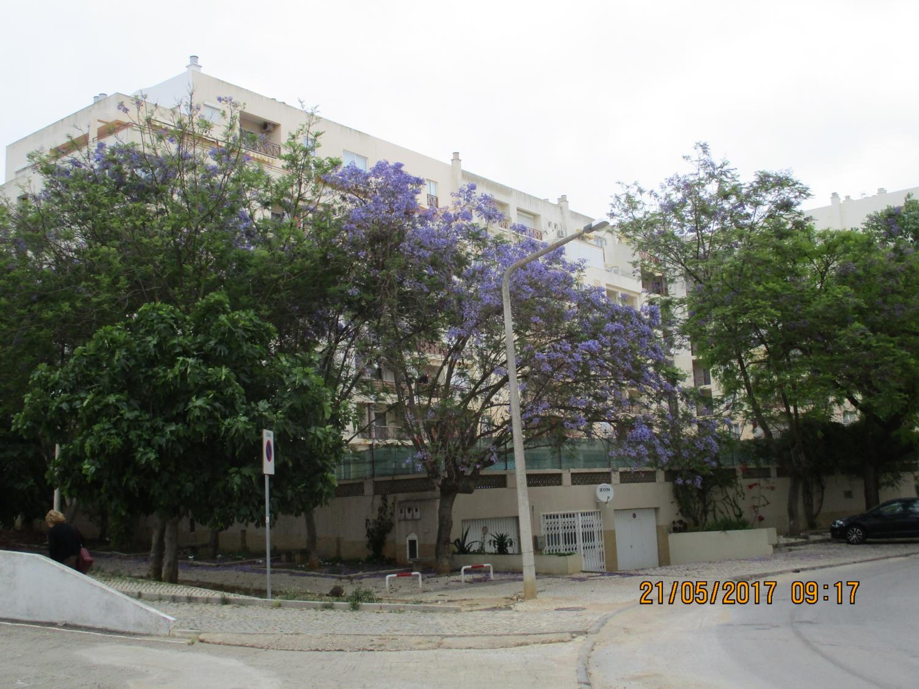 Edificio Caravela C view 4