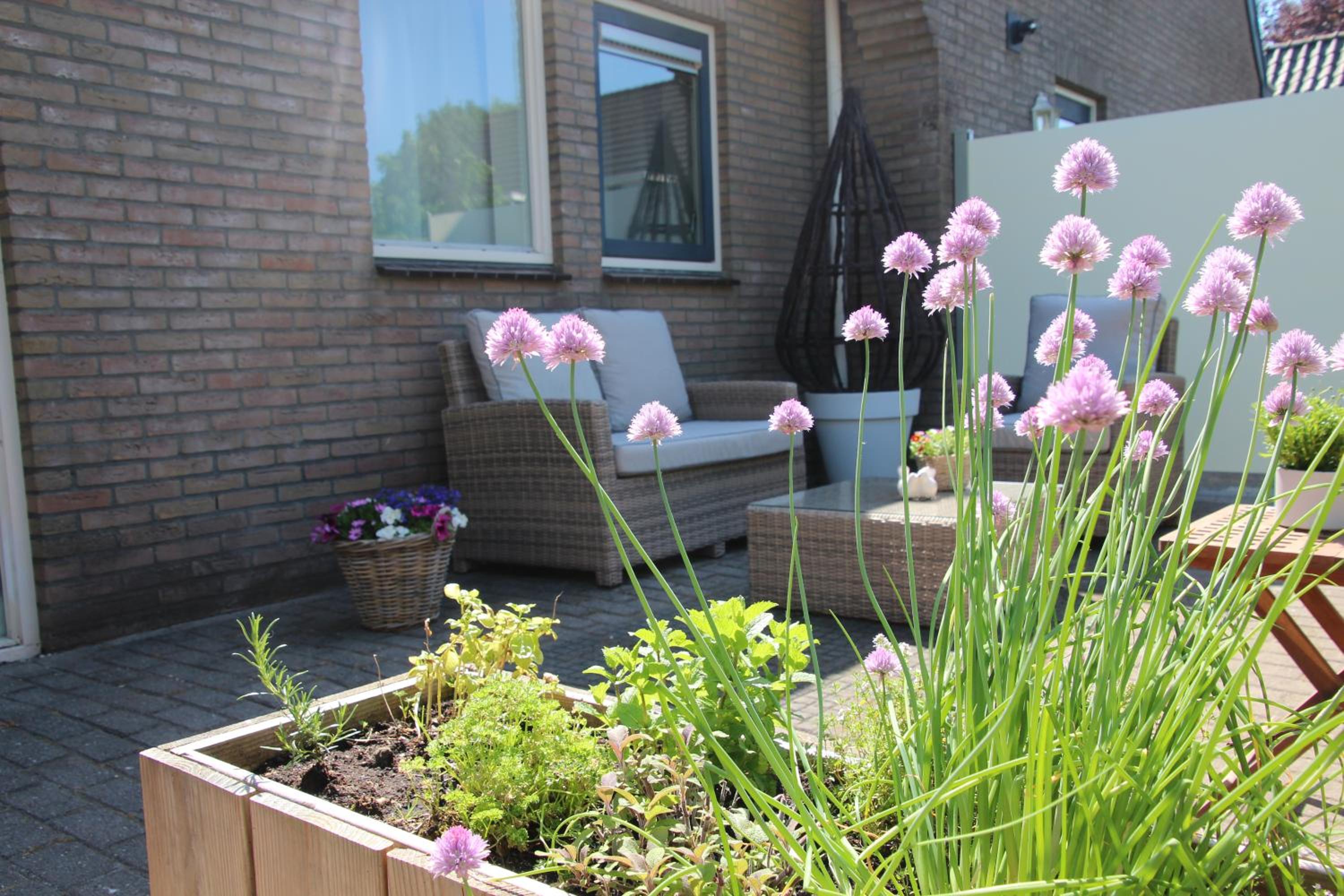 B & B Janneke Elsloo Friesland view 4