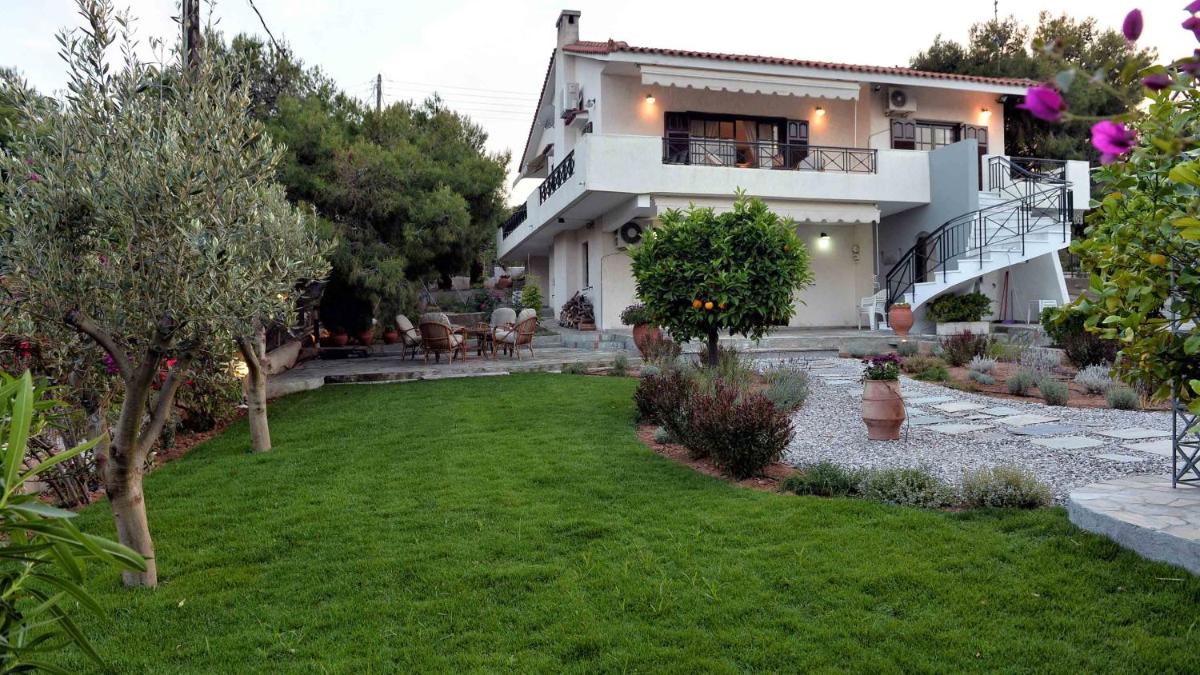 The House of Art photo 3