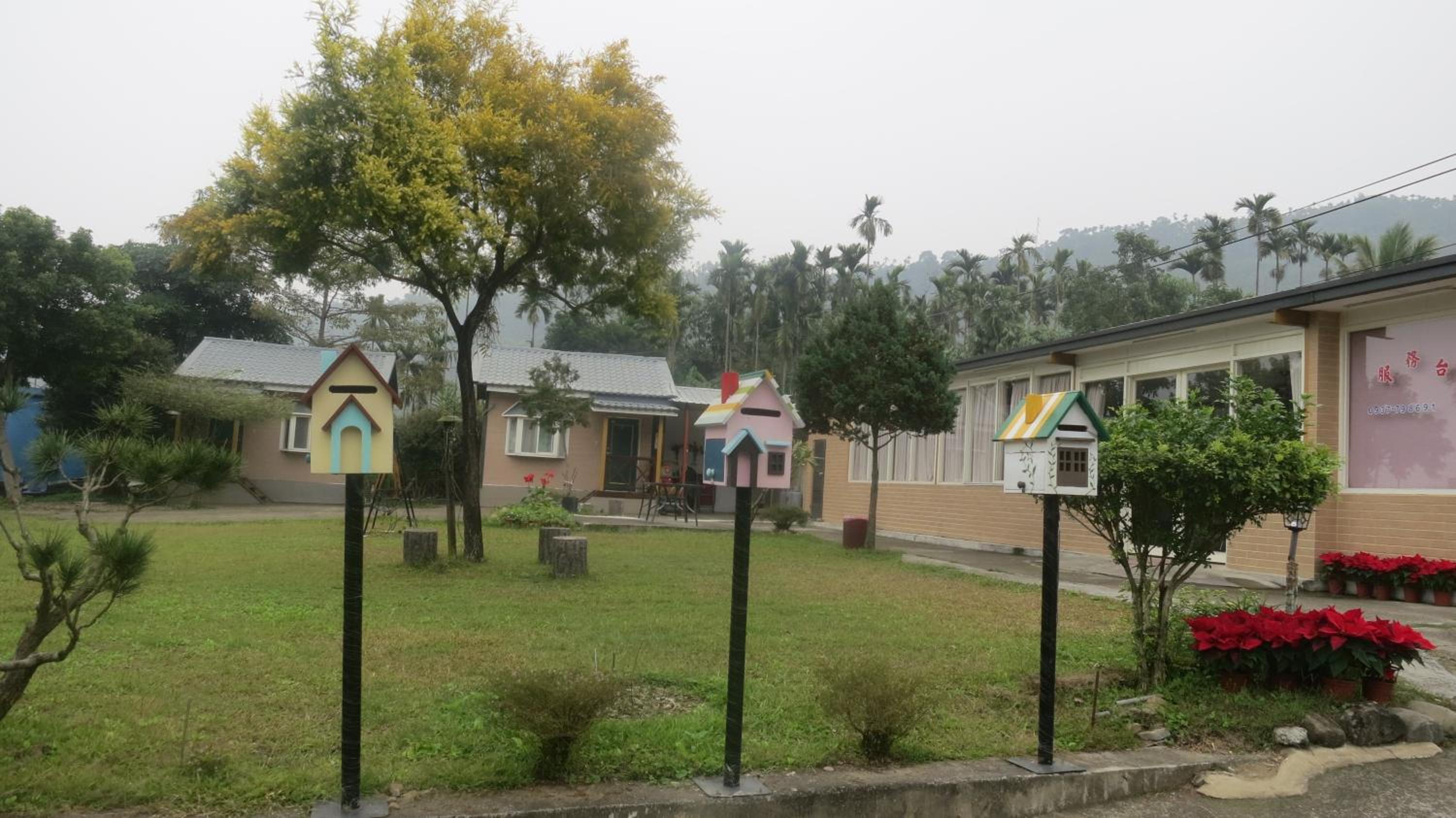Photo 19