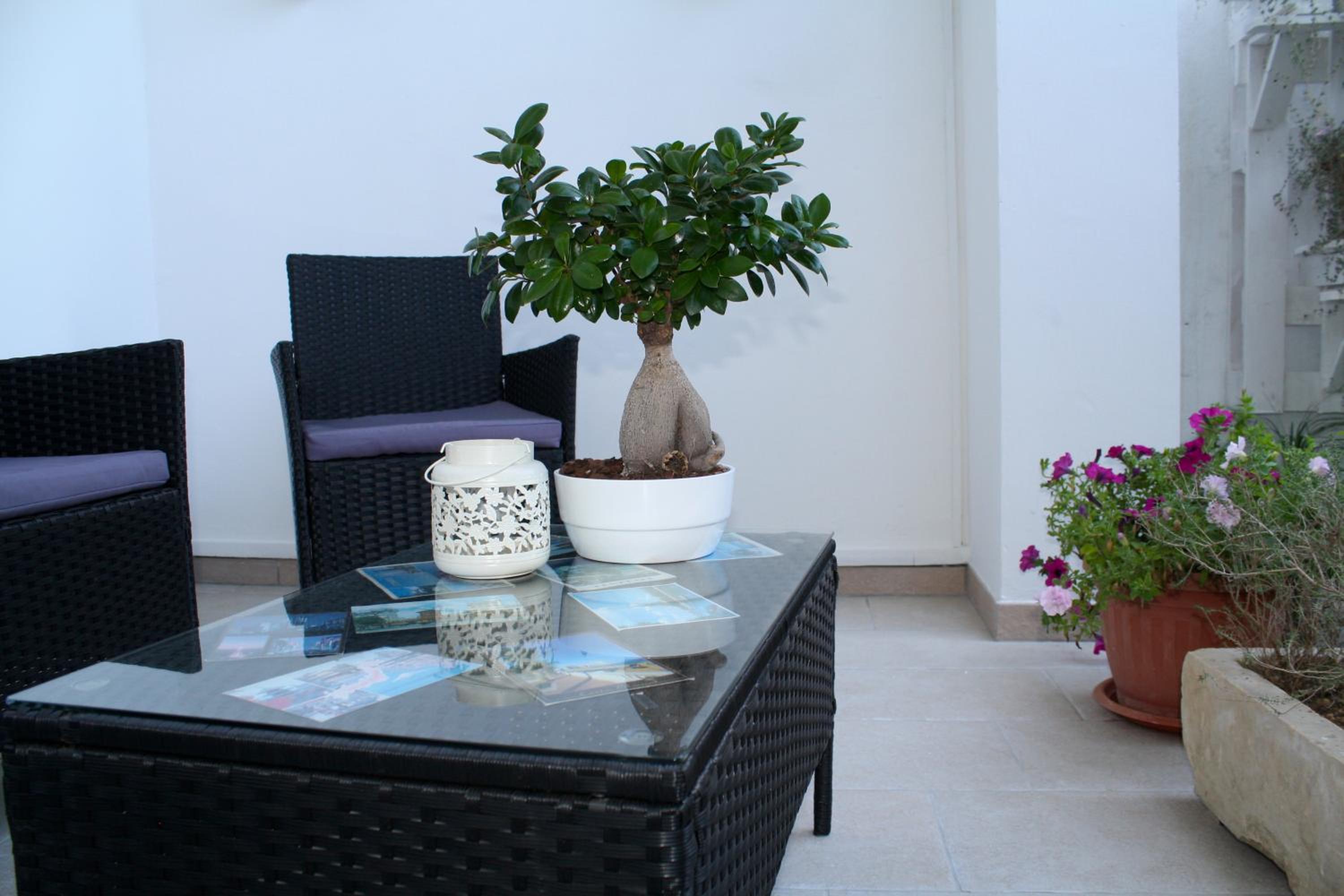 balance & terrace