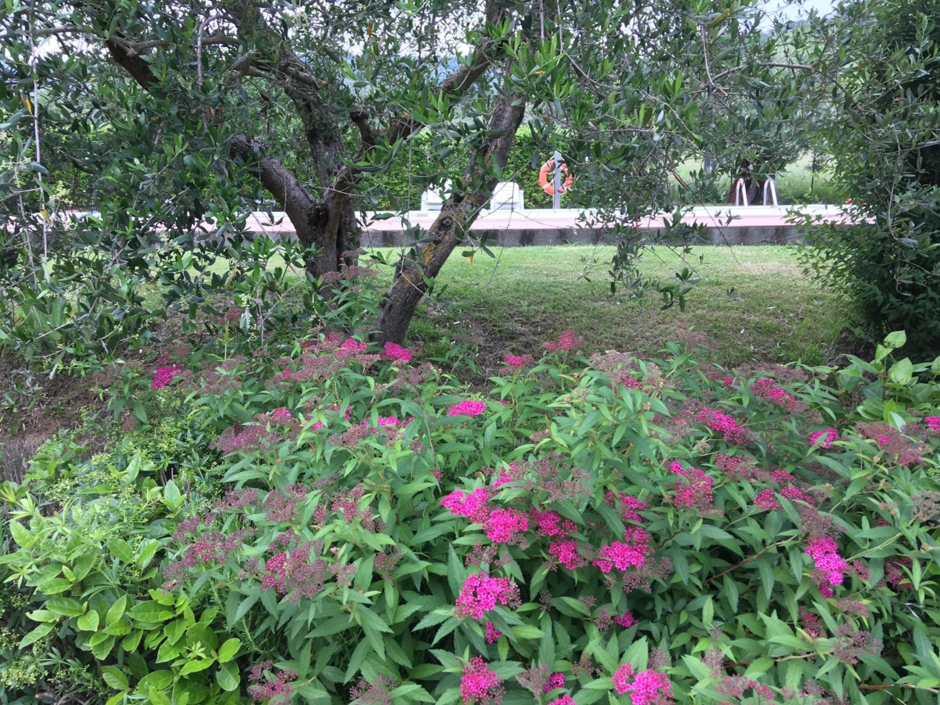 Photo 40