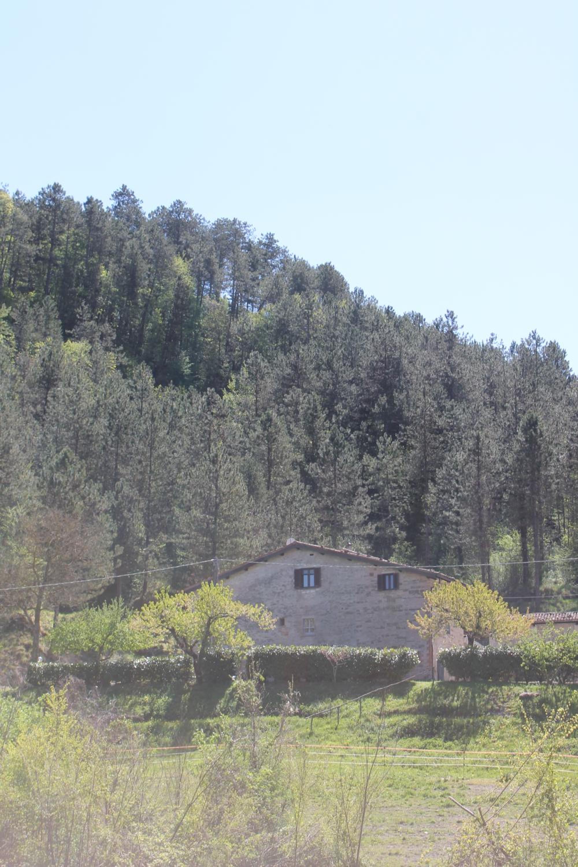 Photo 28