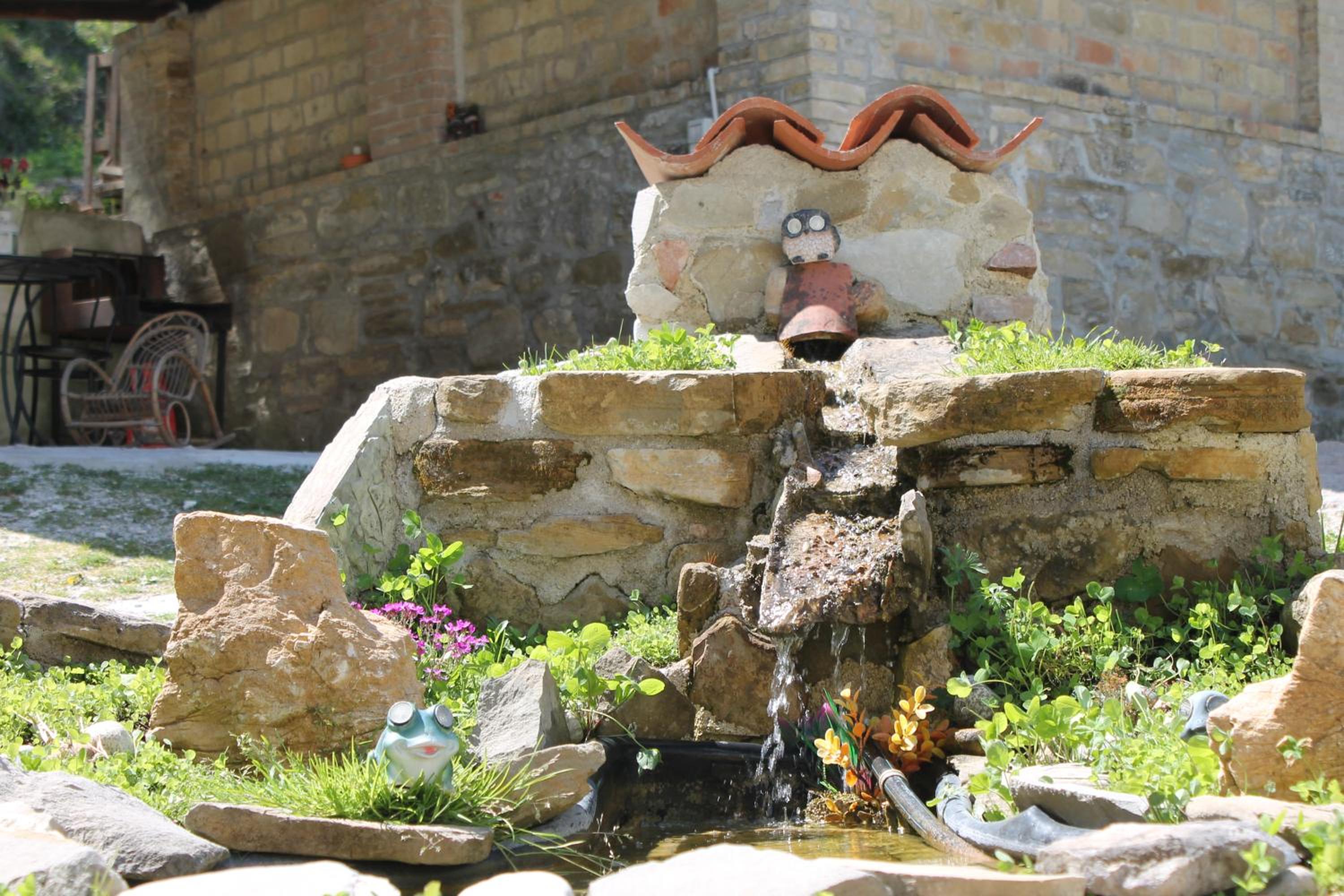 Photo 31