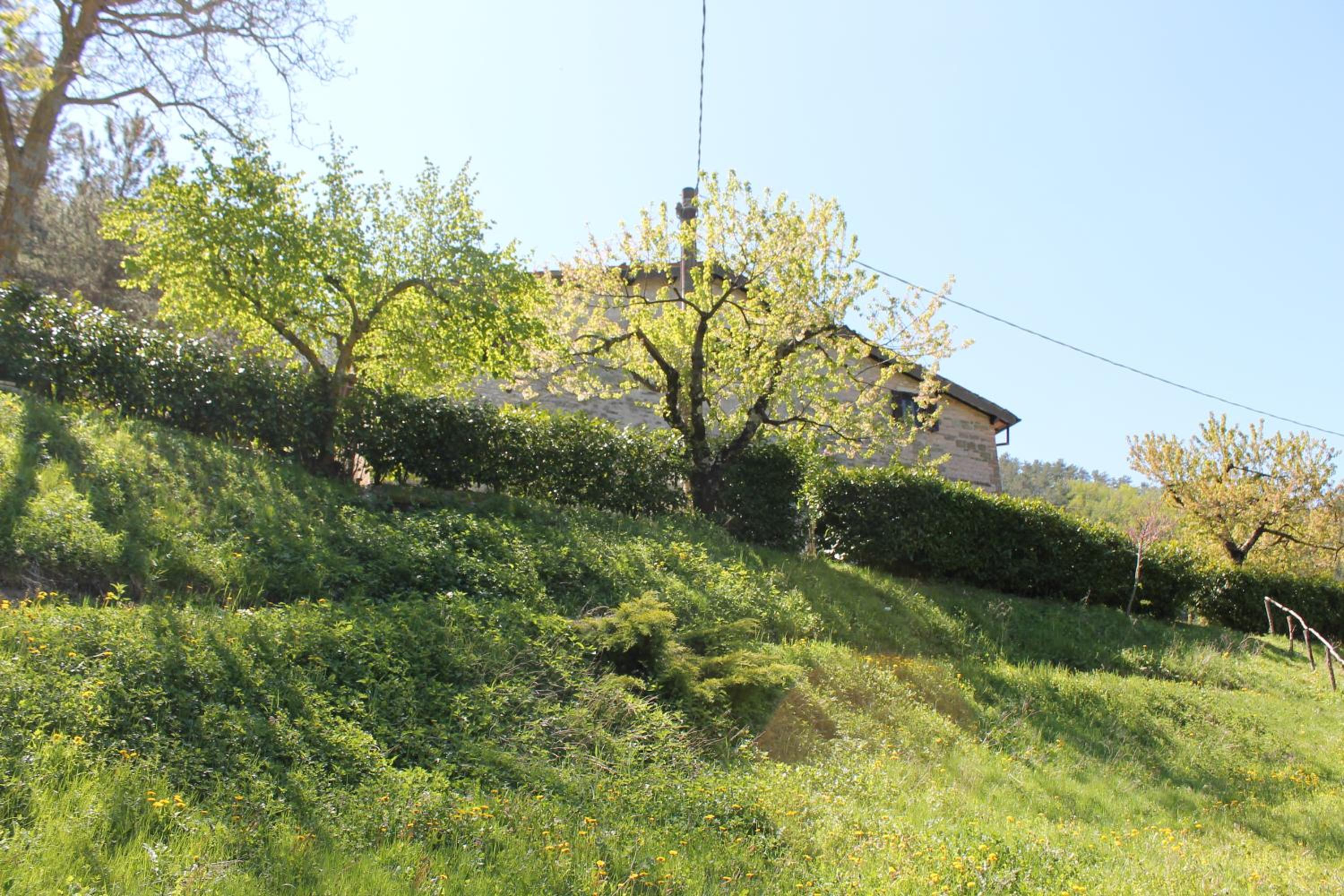 Photo 24