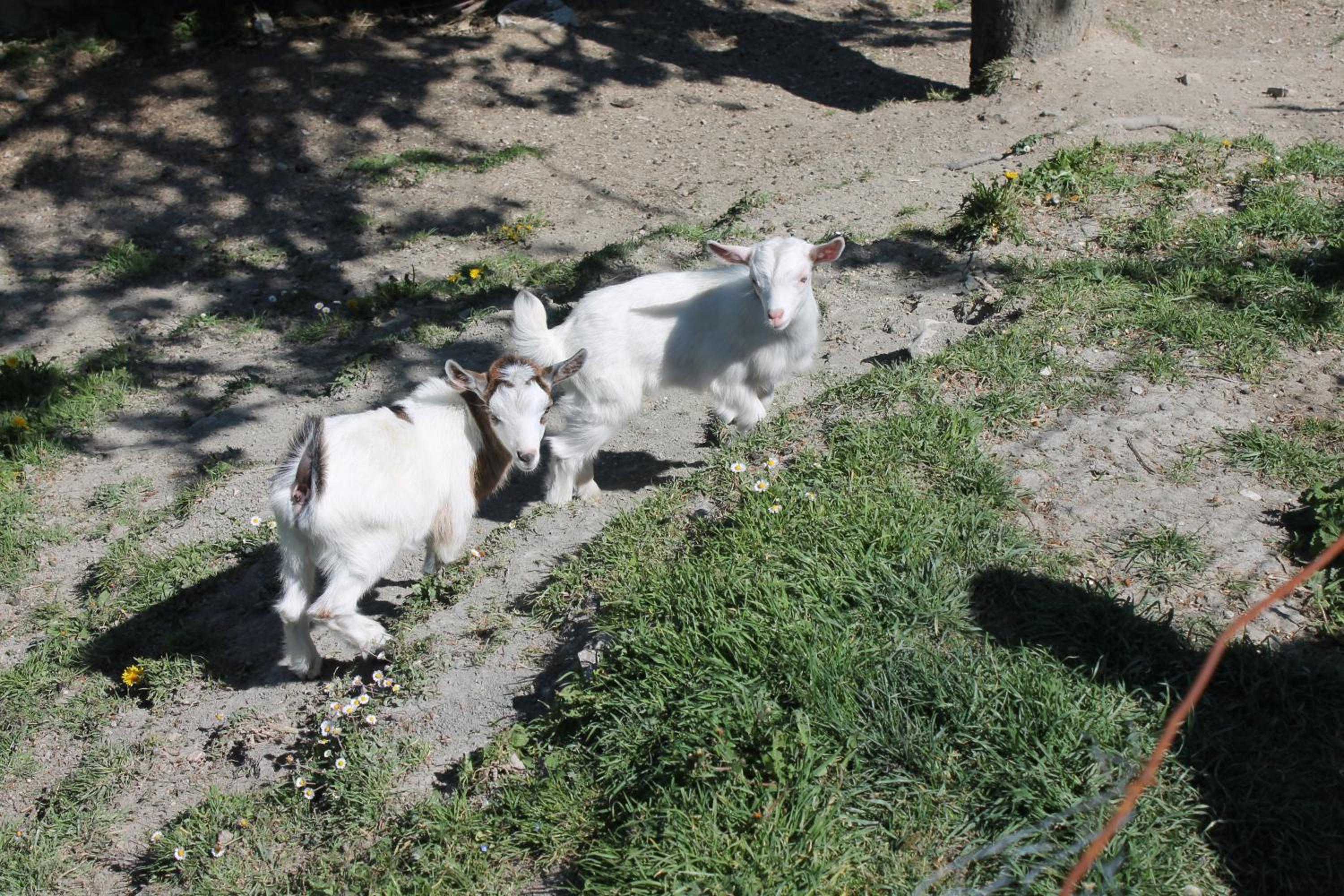 Photo 26
