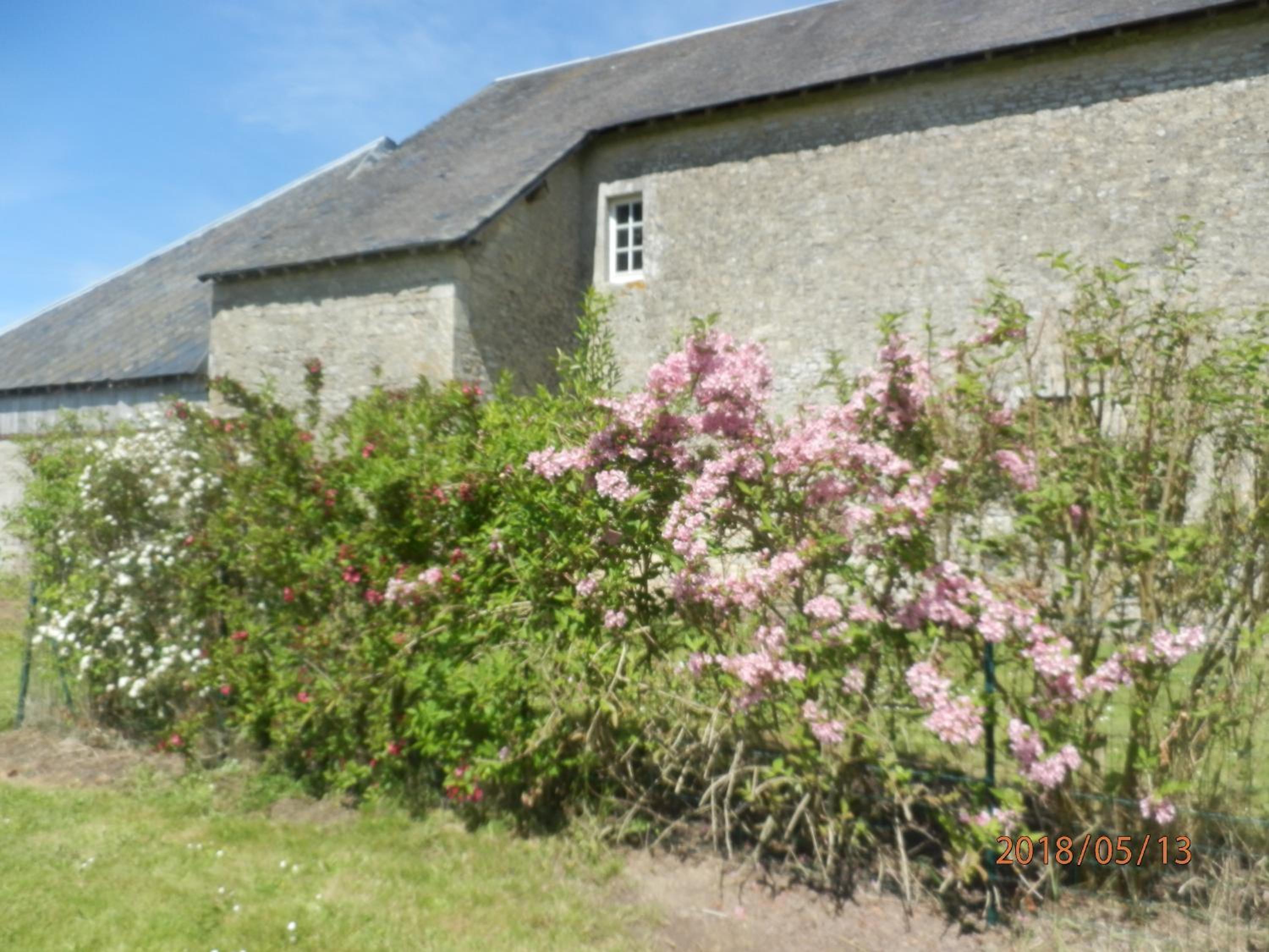 Photo 43
