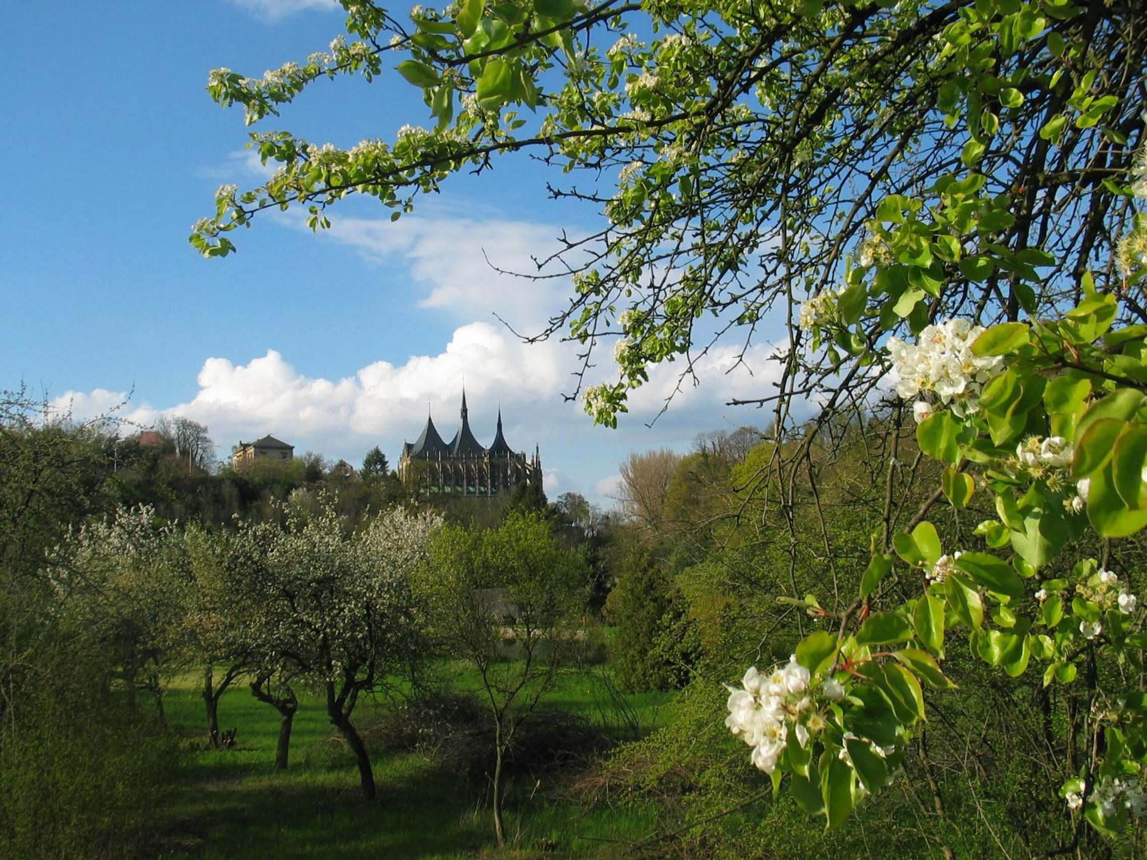 Penzion Art kutna Hora
