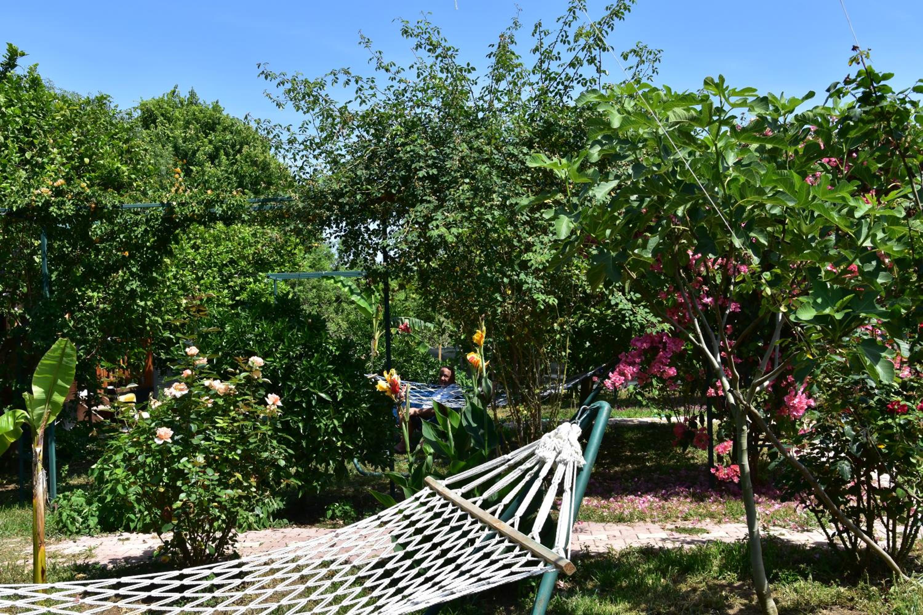 Lemon Garden Lodge