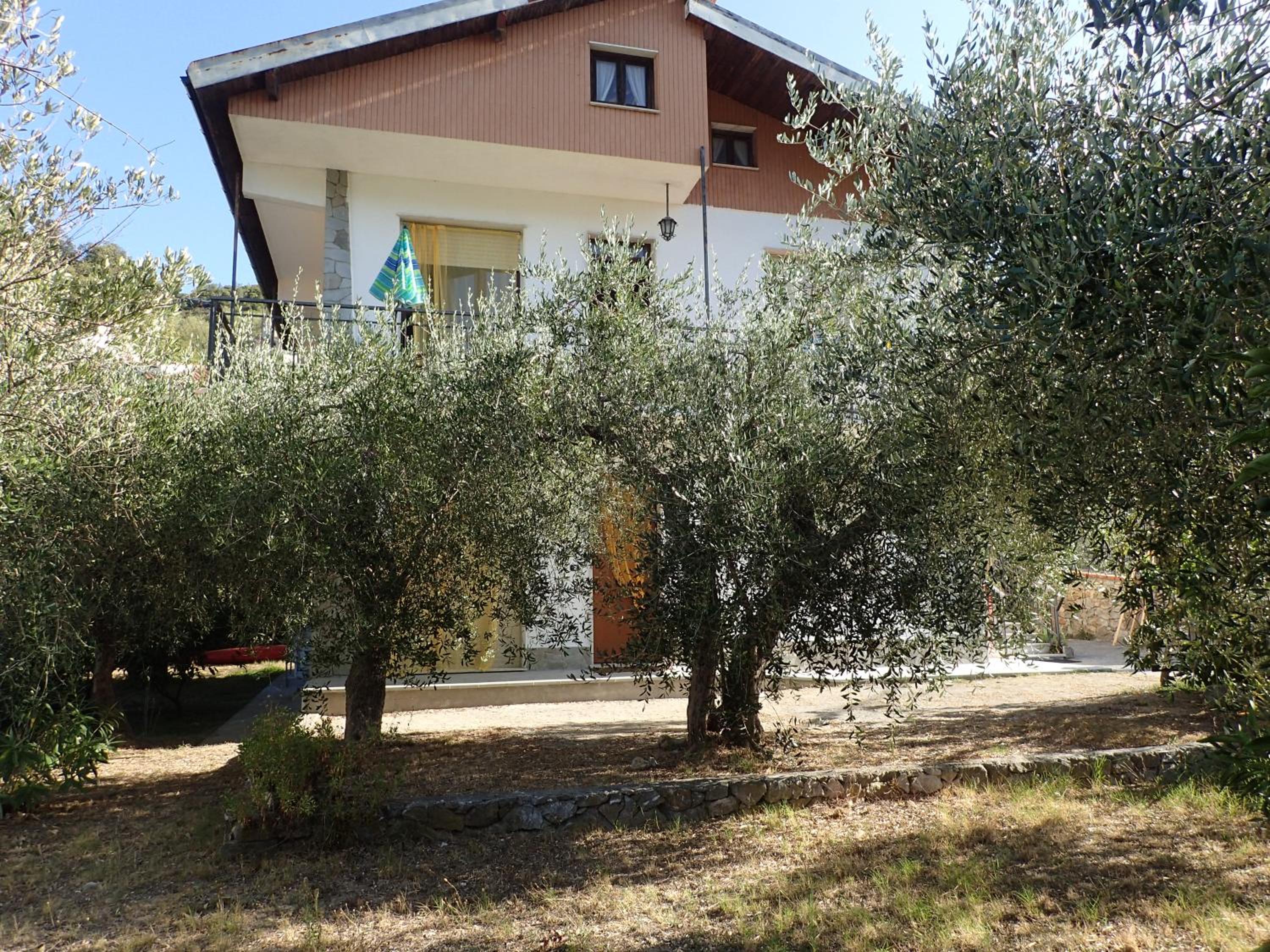 Casetta tra gli Ulivi vicina al Mare view 2