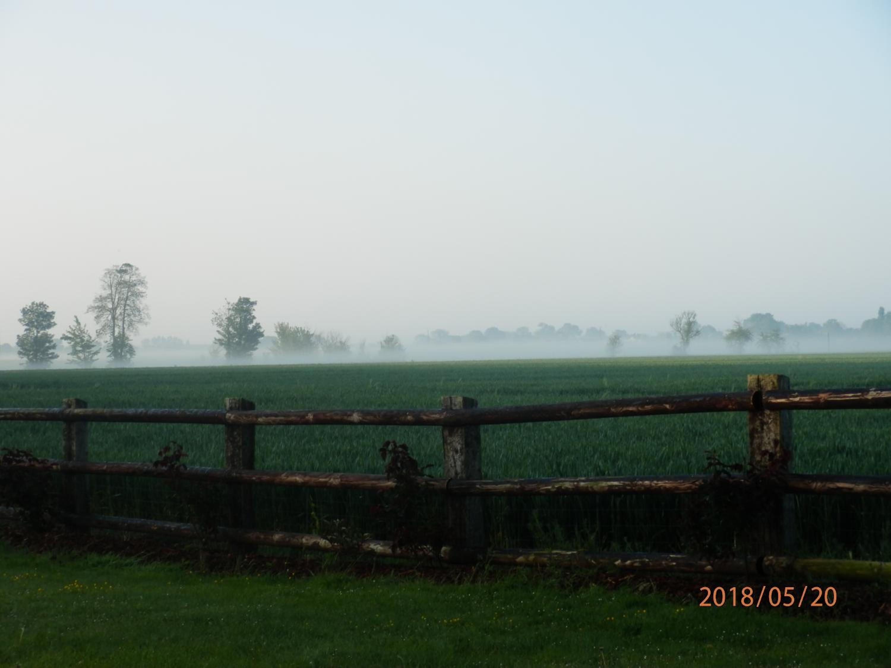 Photo 36