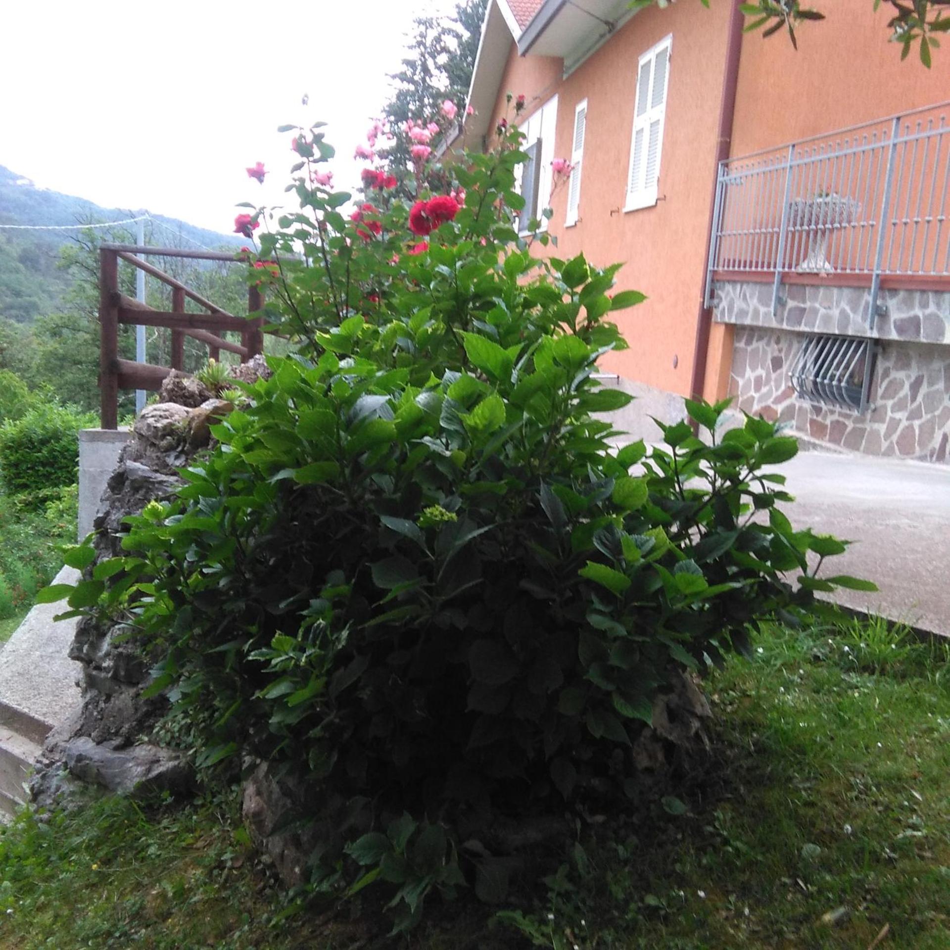 Photo 27