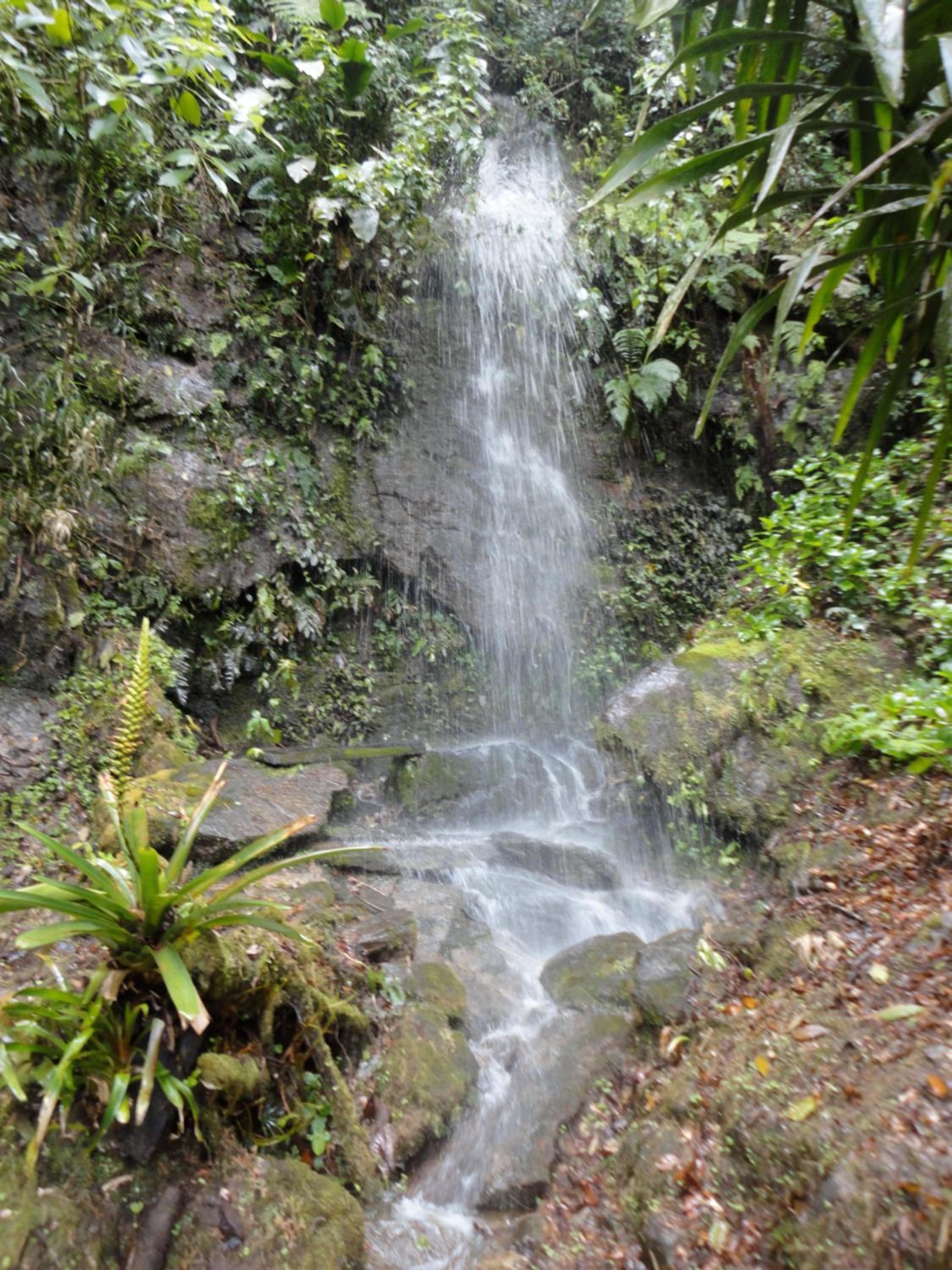 Sítio Sanandu - Conforto no Paraíso Ecológico de Macaé de Cima