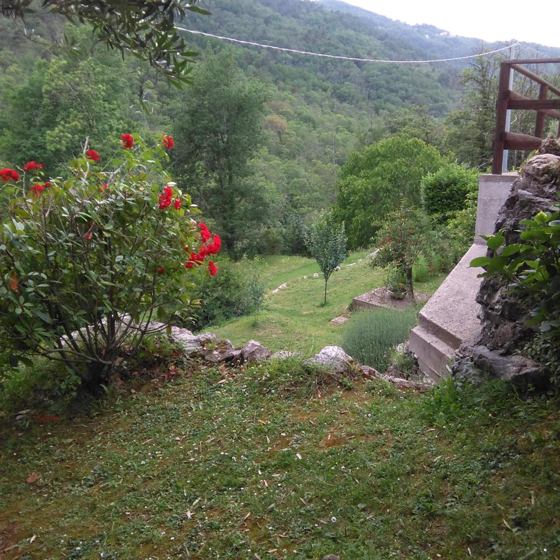 Photo 26