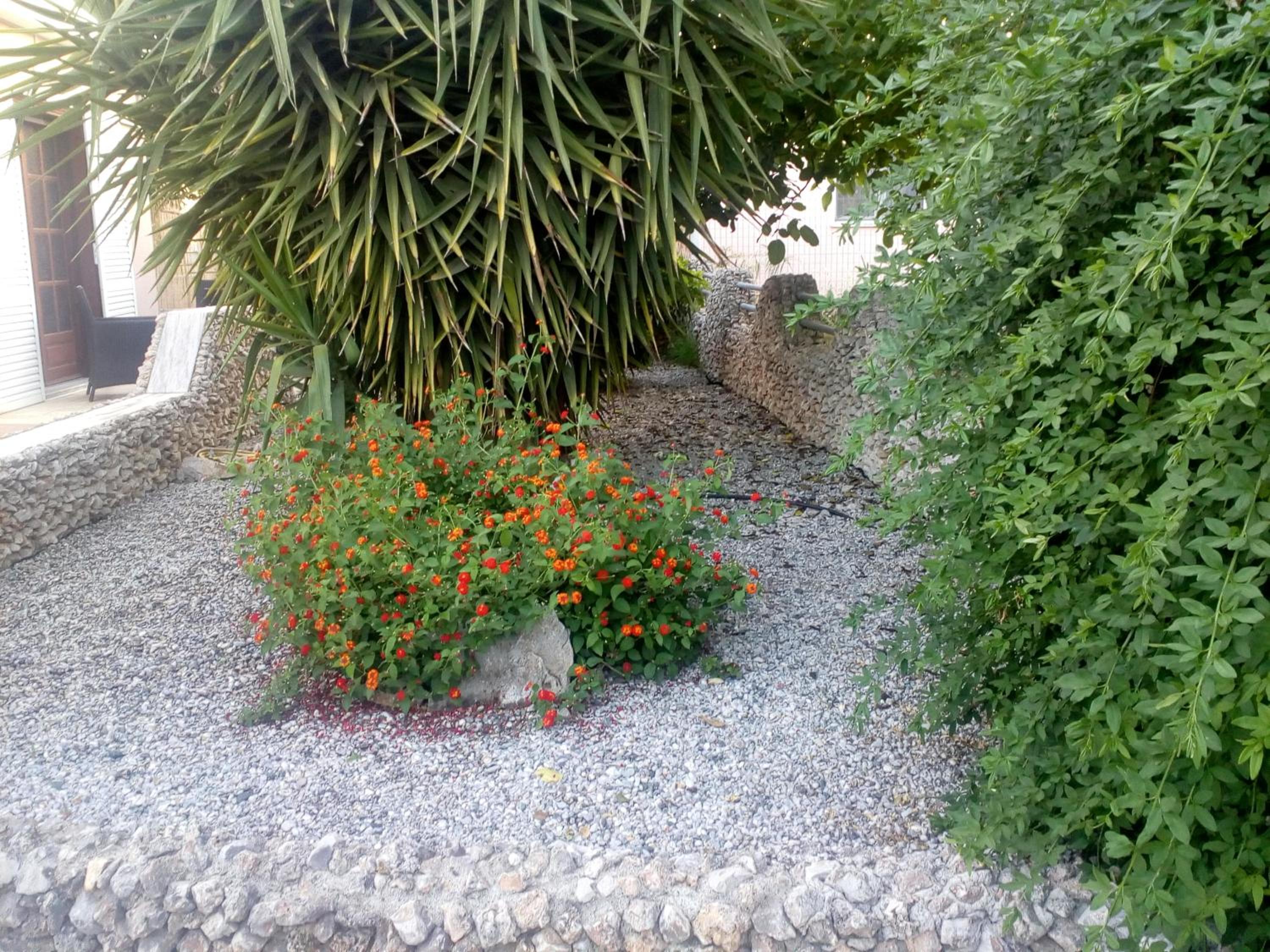 Photo 37