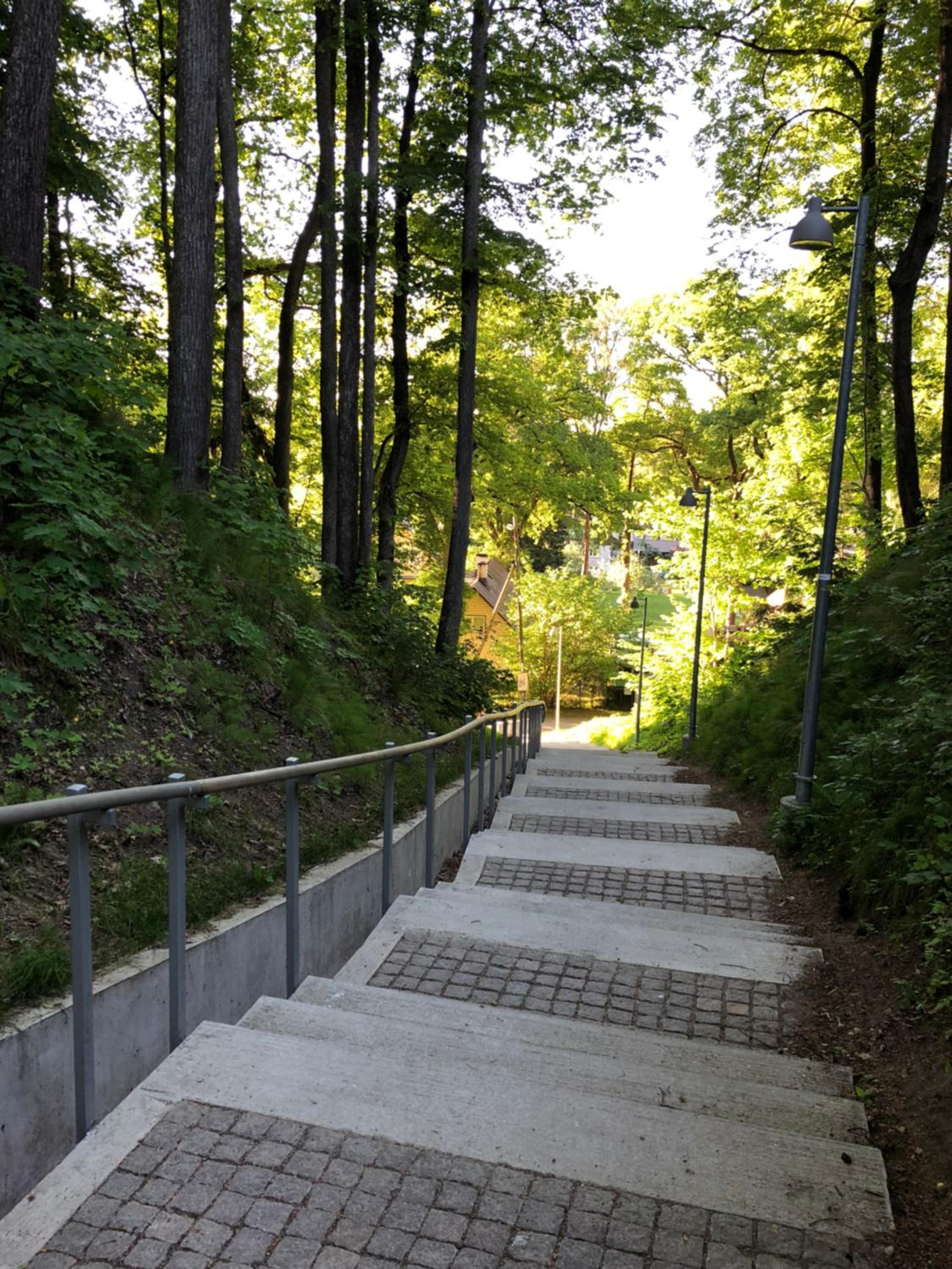 Photo 41