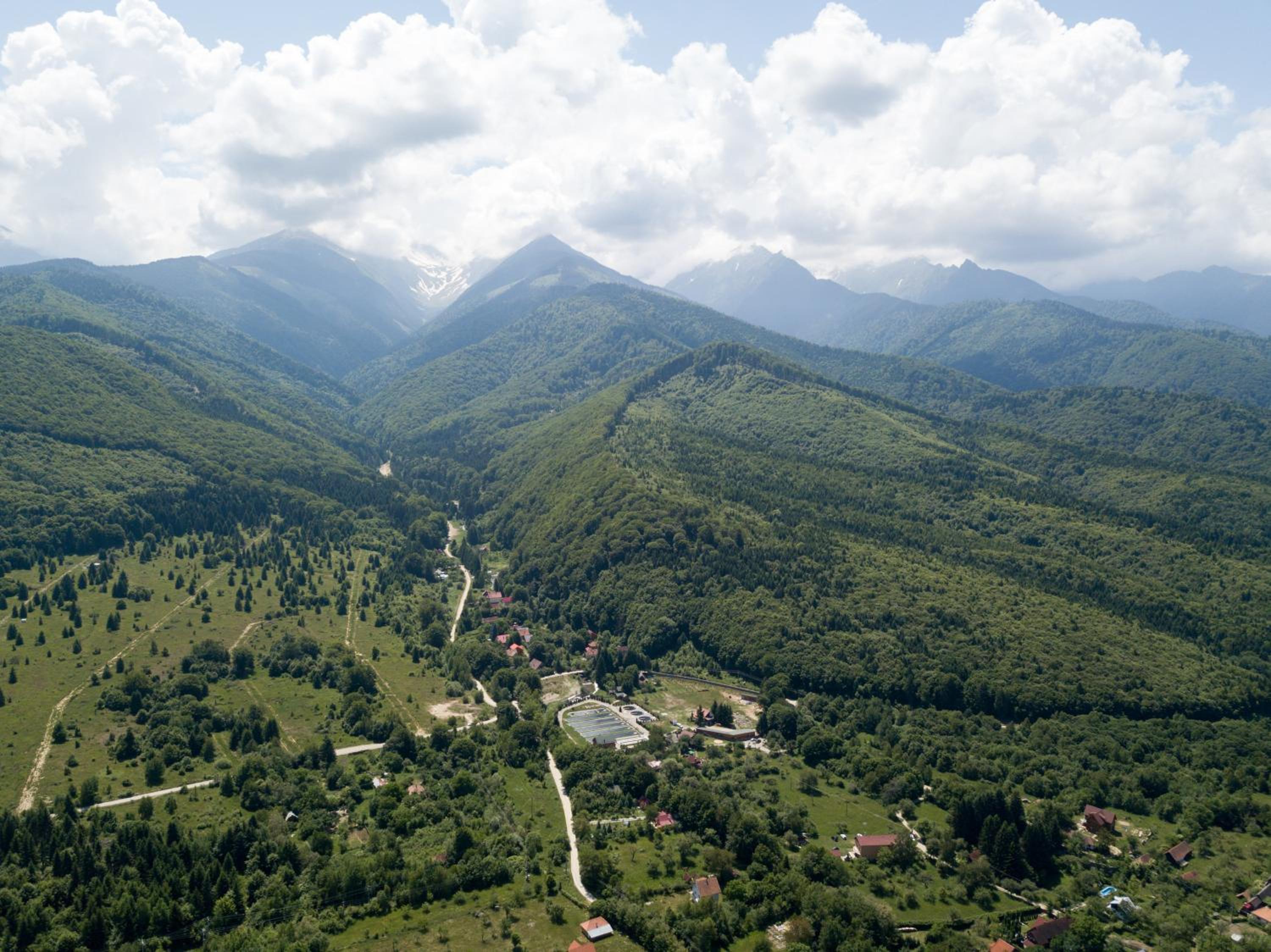 Pensiunea Elena view 3