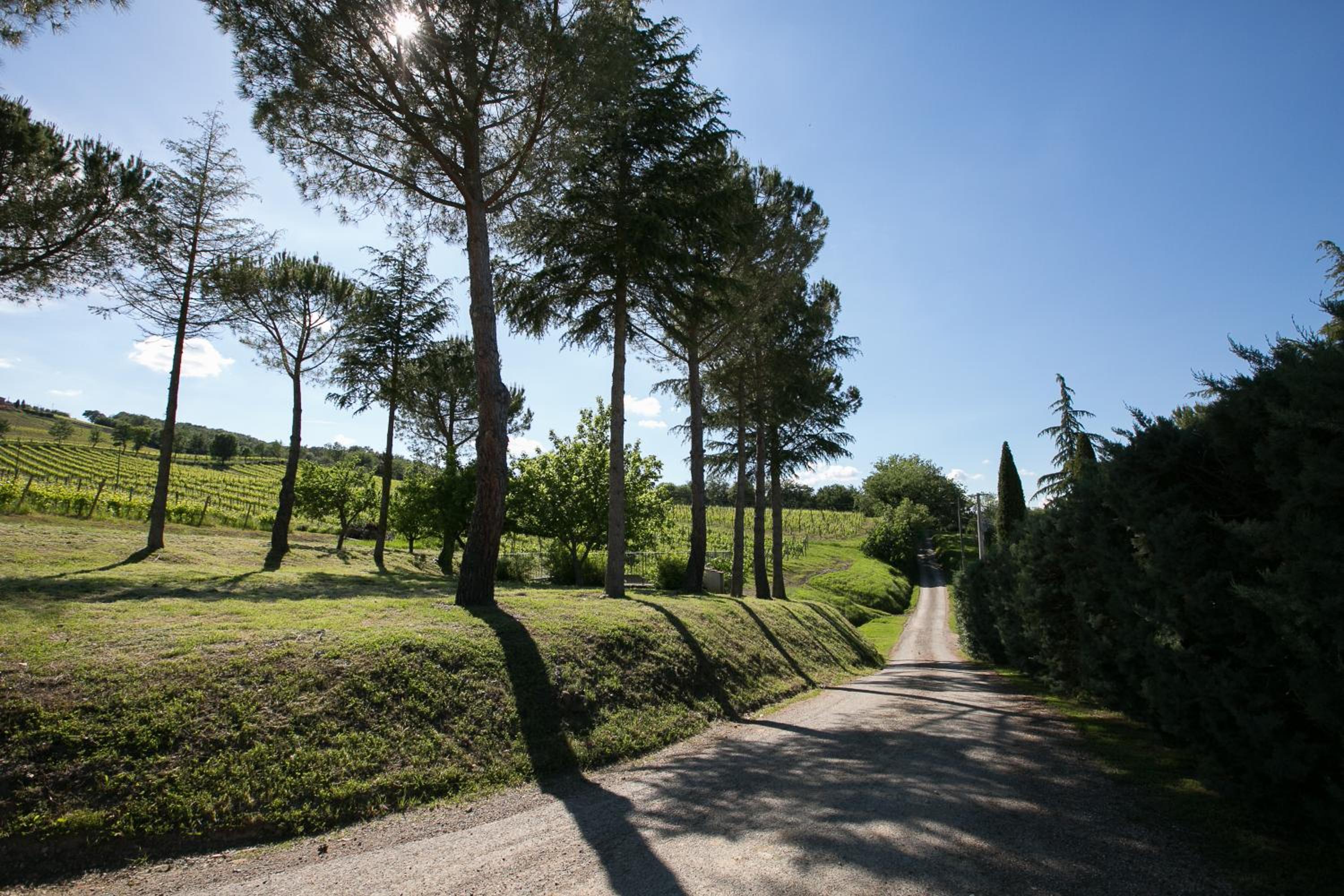 Tenuta San Filippo view 4