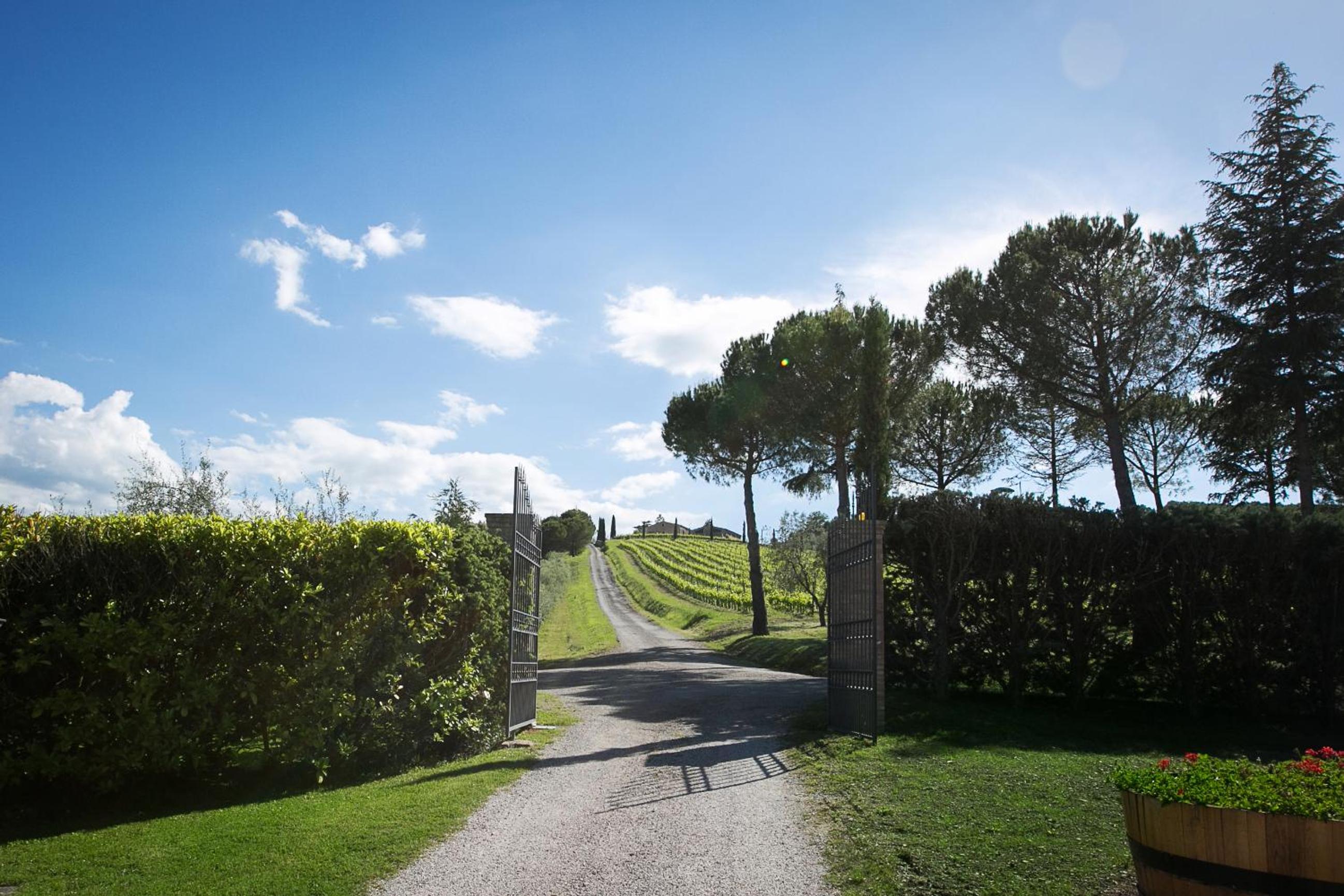 Tenuta San Filippo view 3