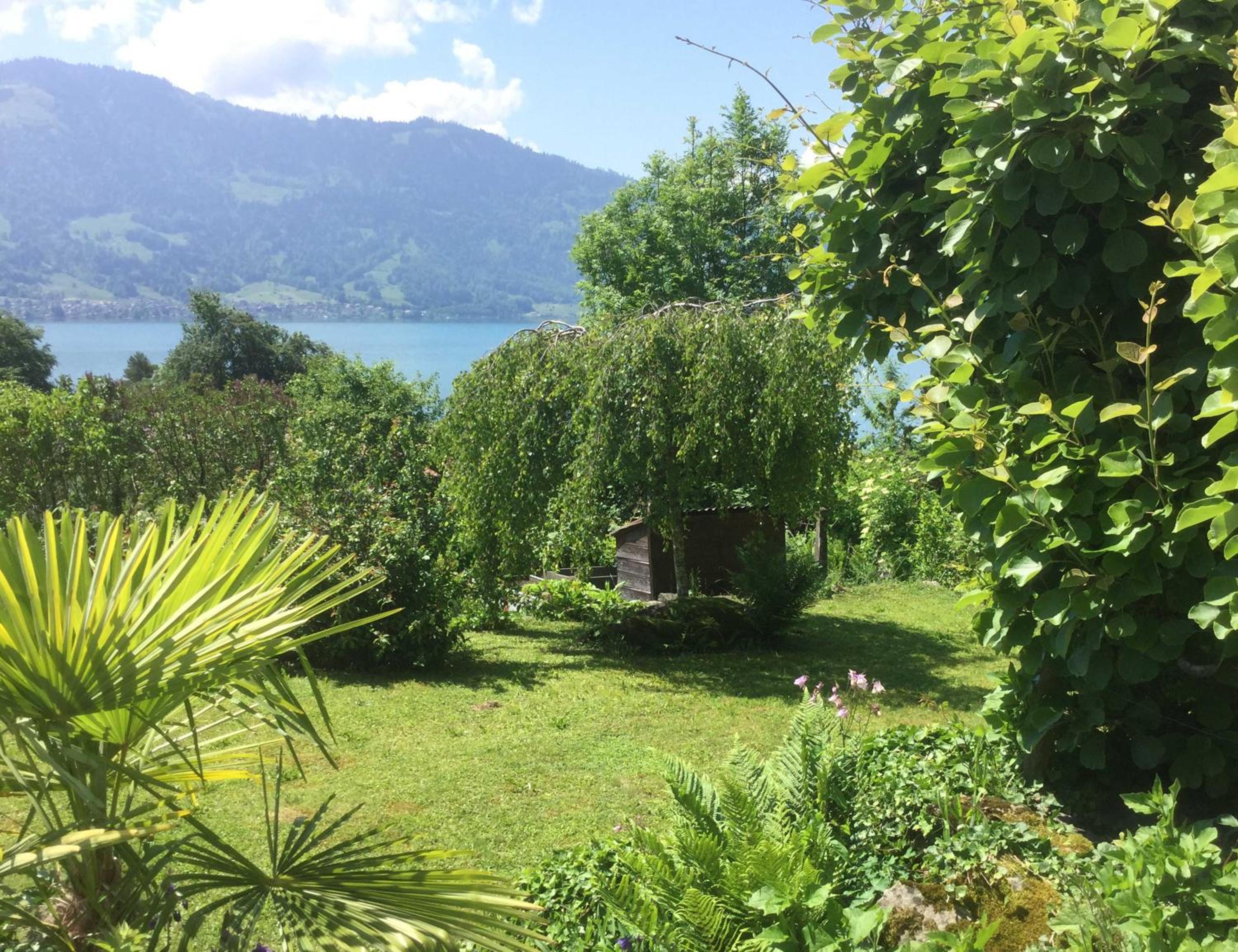 Lakeviewhouse