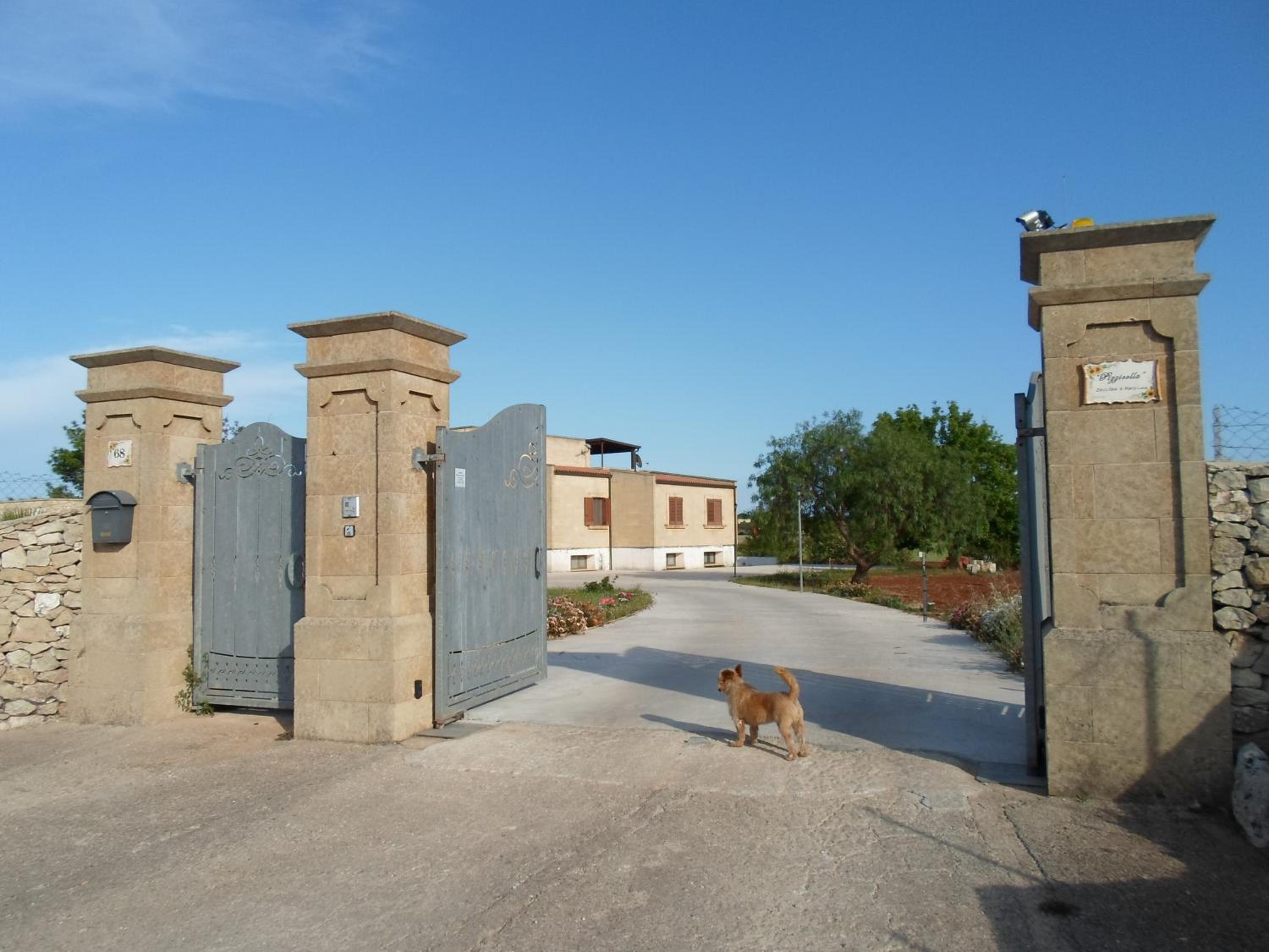 Photo 23