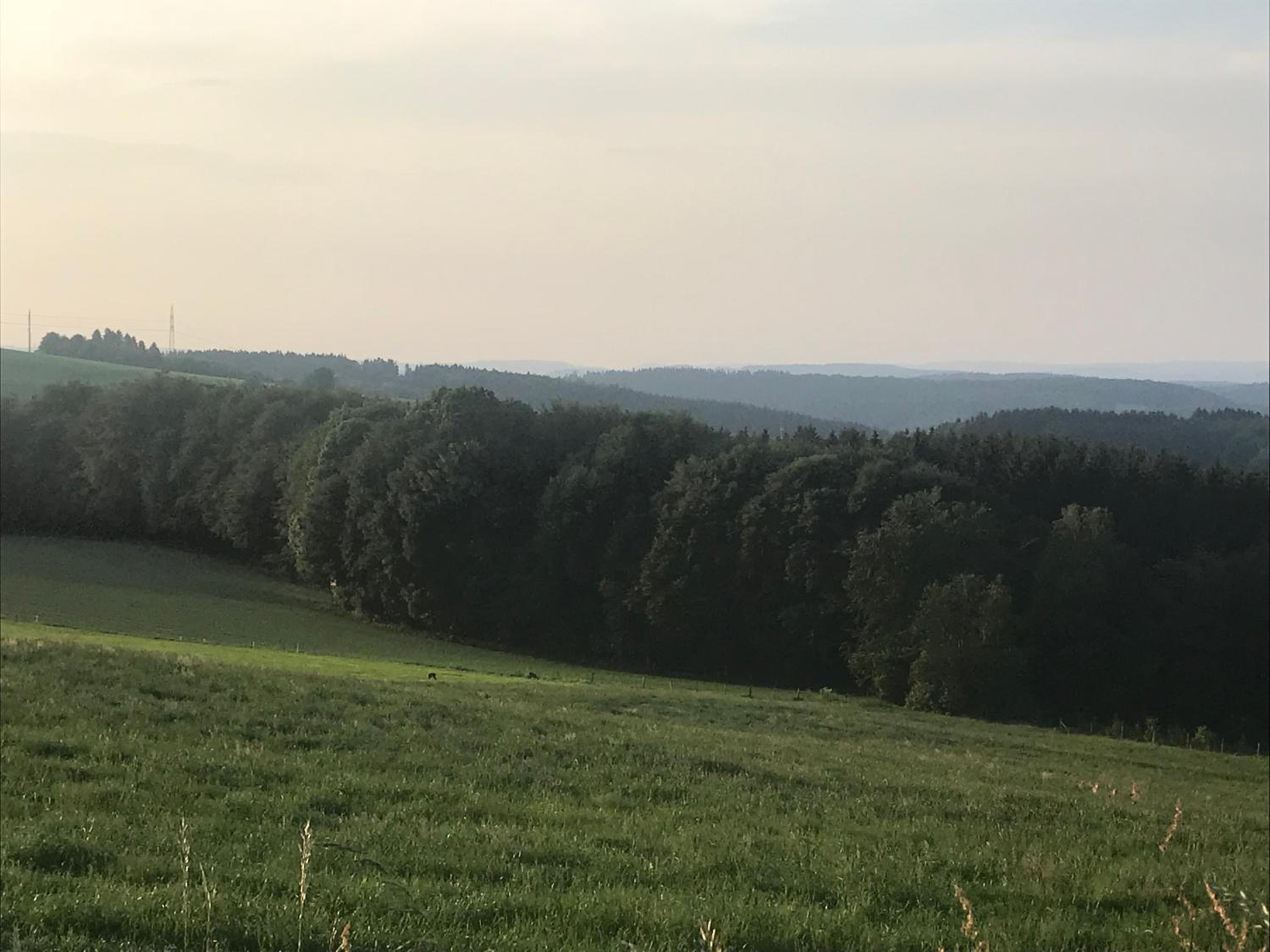 Ferienhaus Sauerland