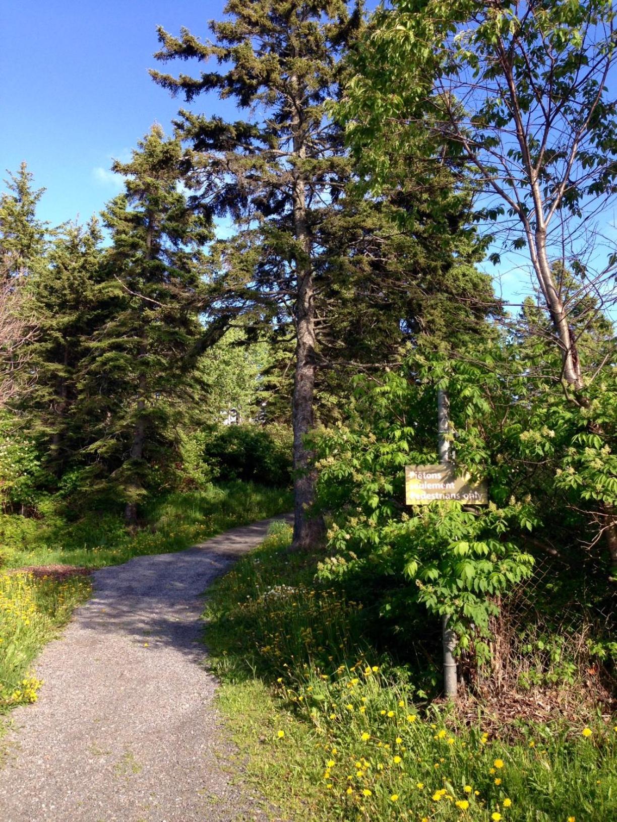 Motel de L'Anse et Camping Rimouski
