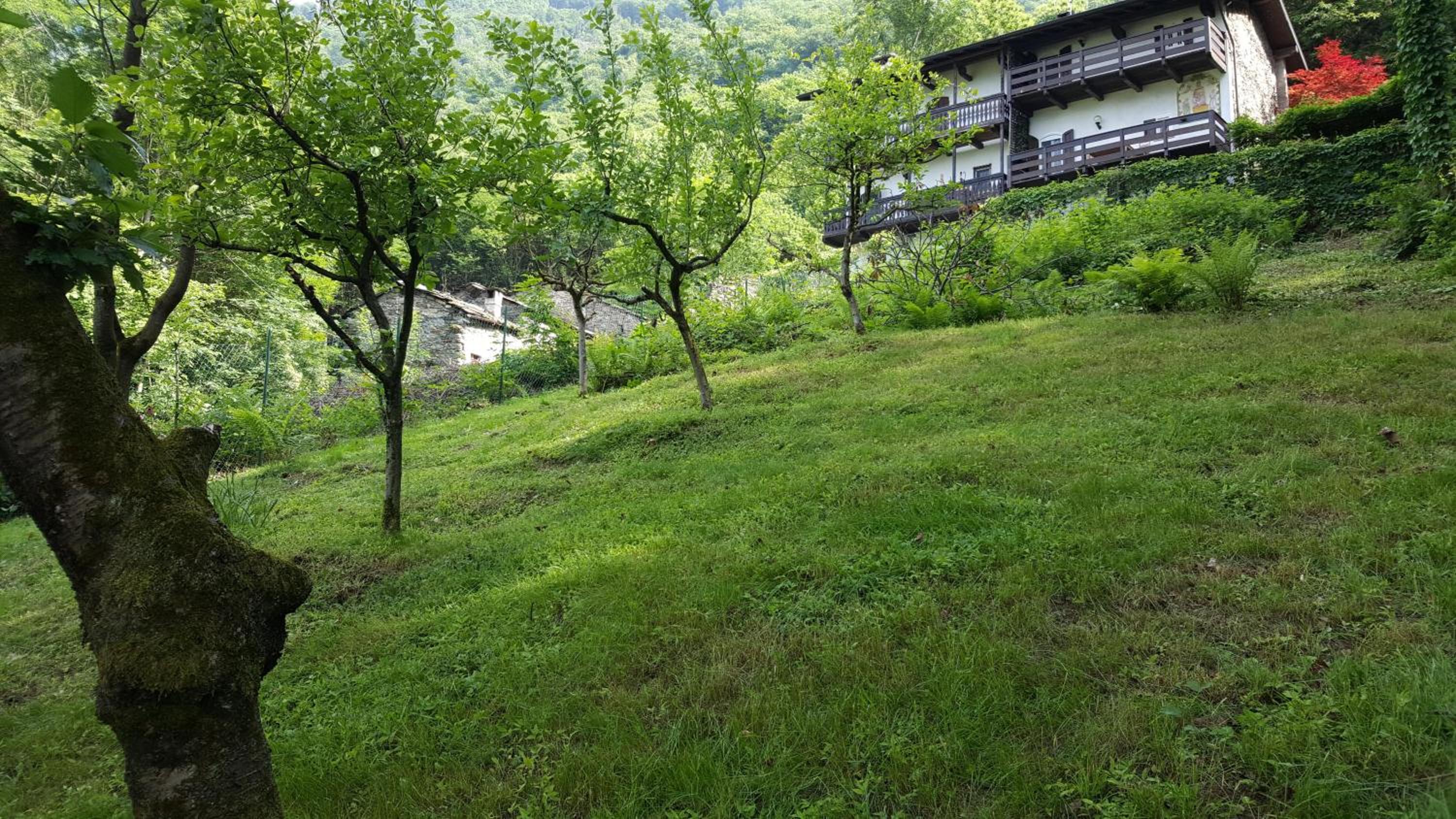 Photo 24