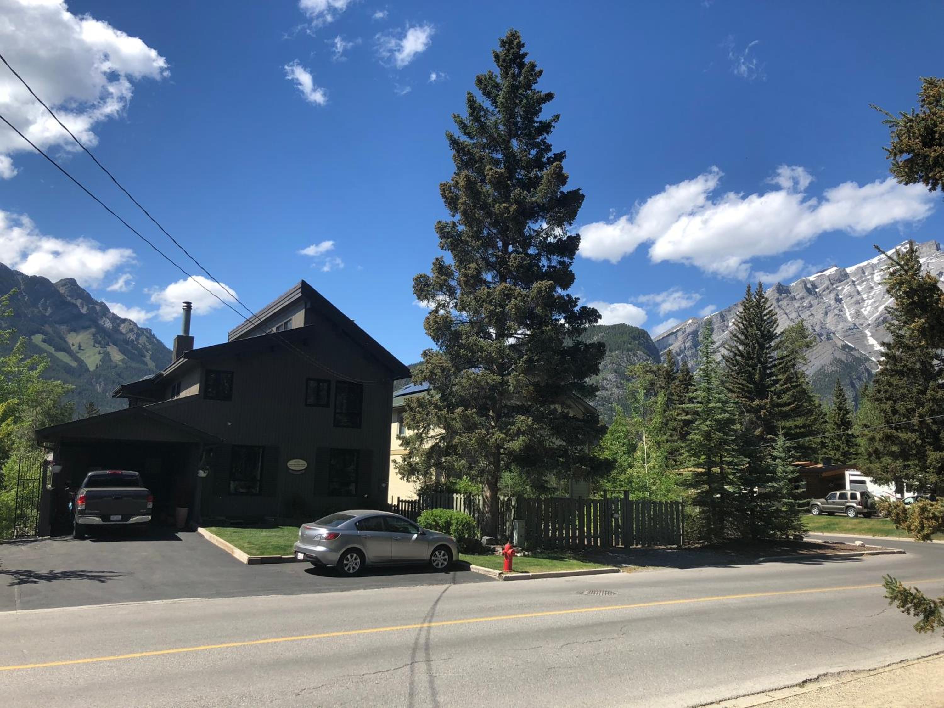 Mountain View Bed & Breakfast