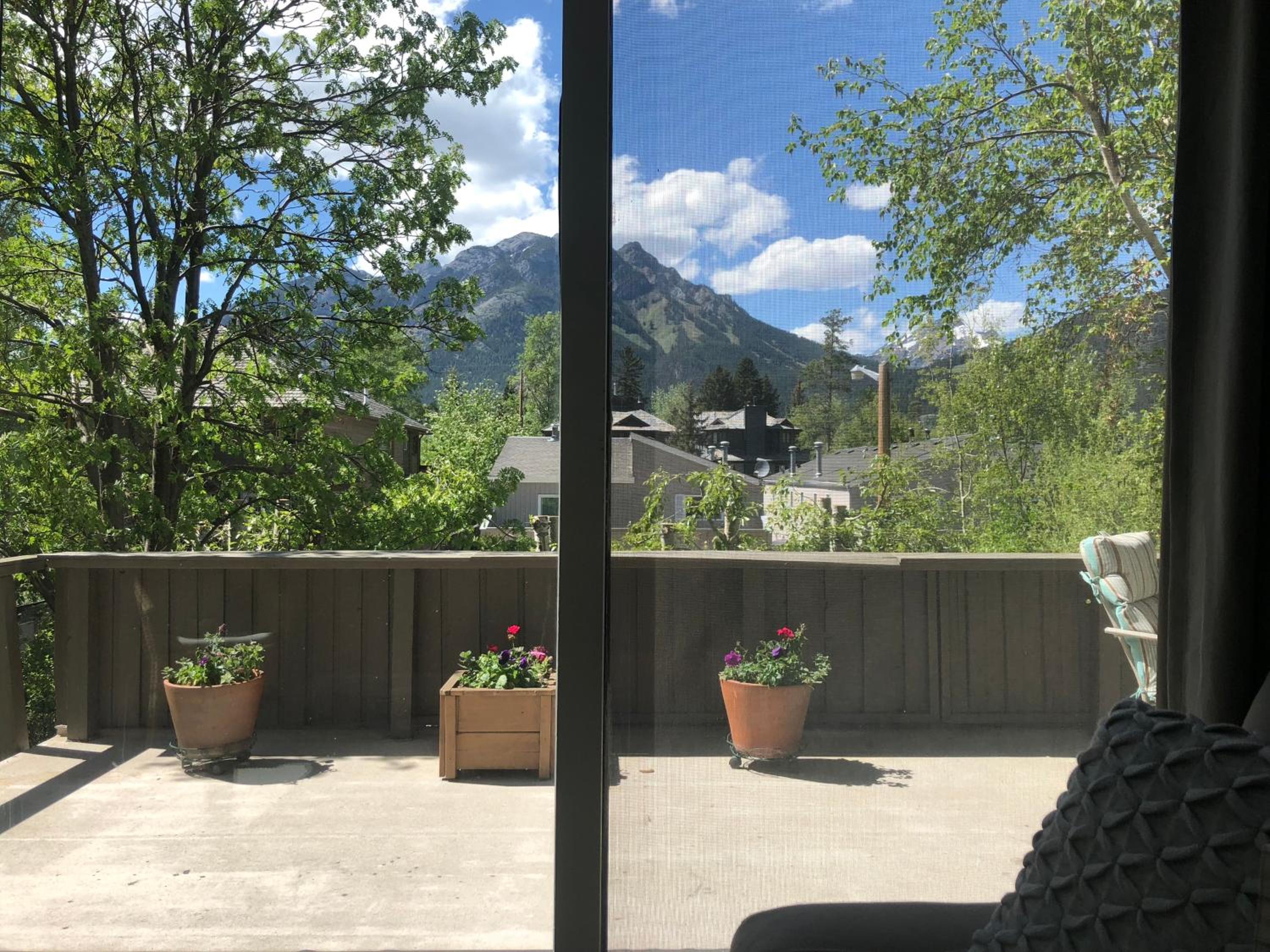 Mountain View Bed & Breakfast