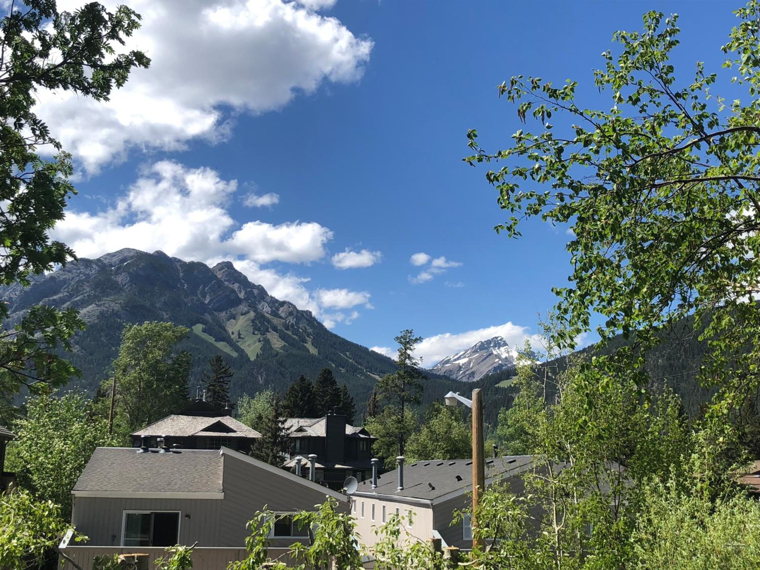 Mountain View Bed & Breakfast