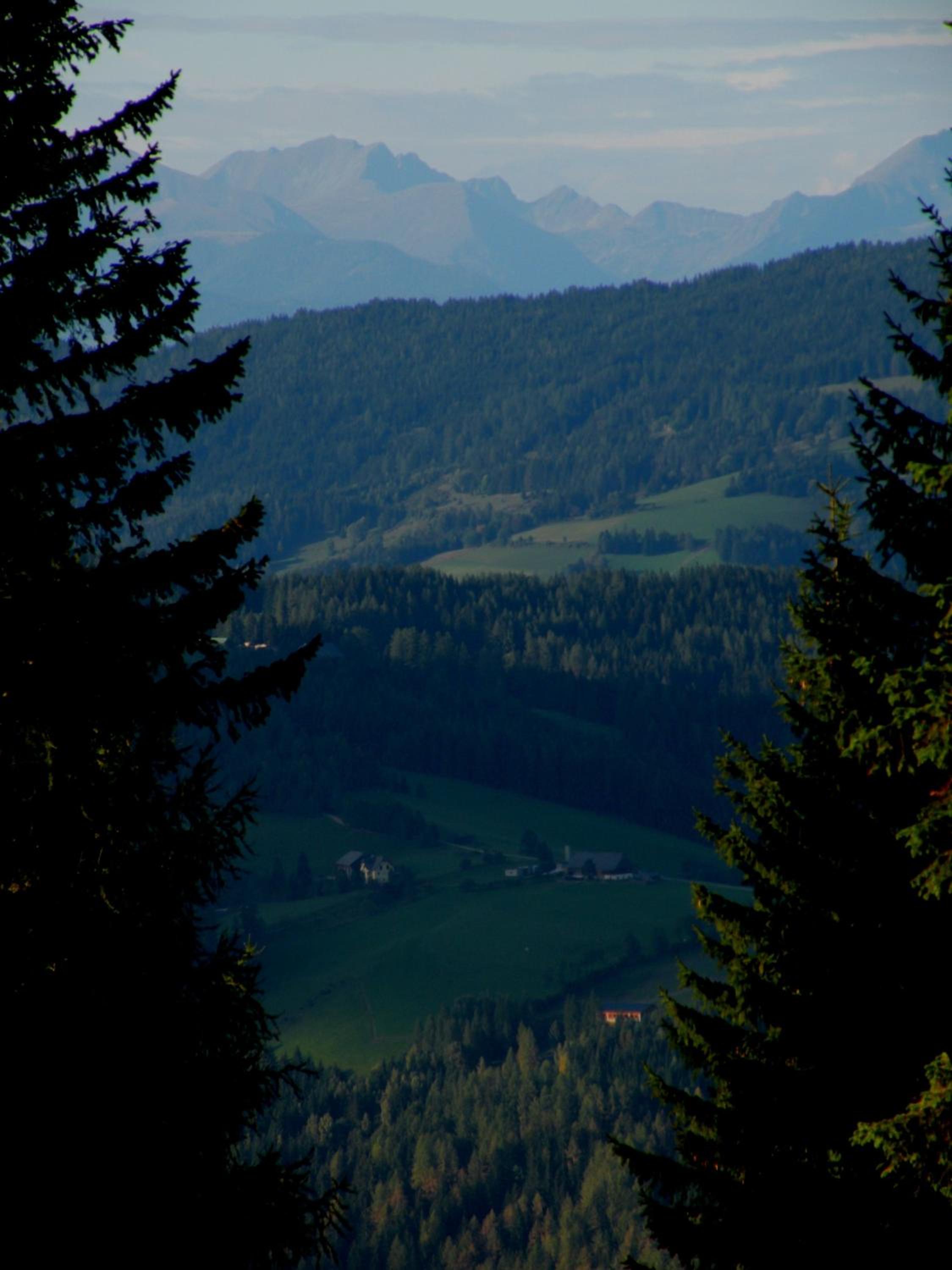 Urlaub im Zirbenland