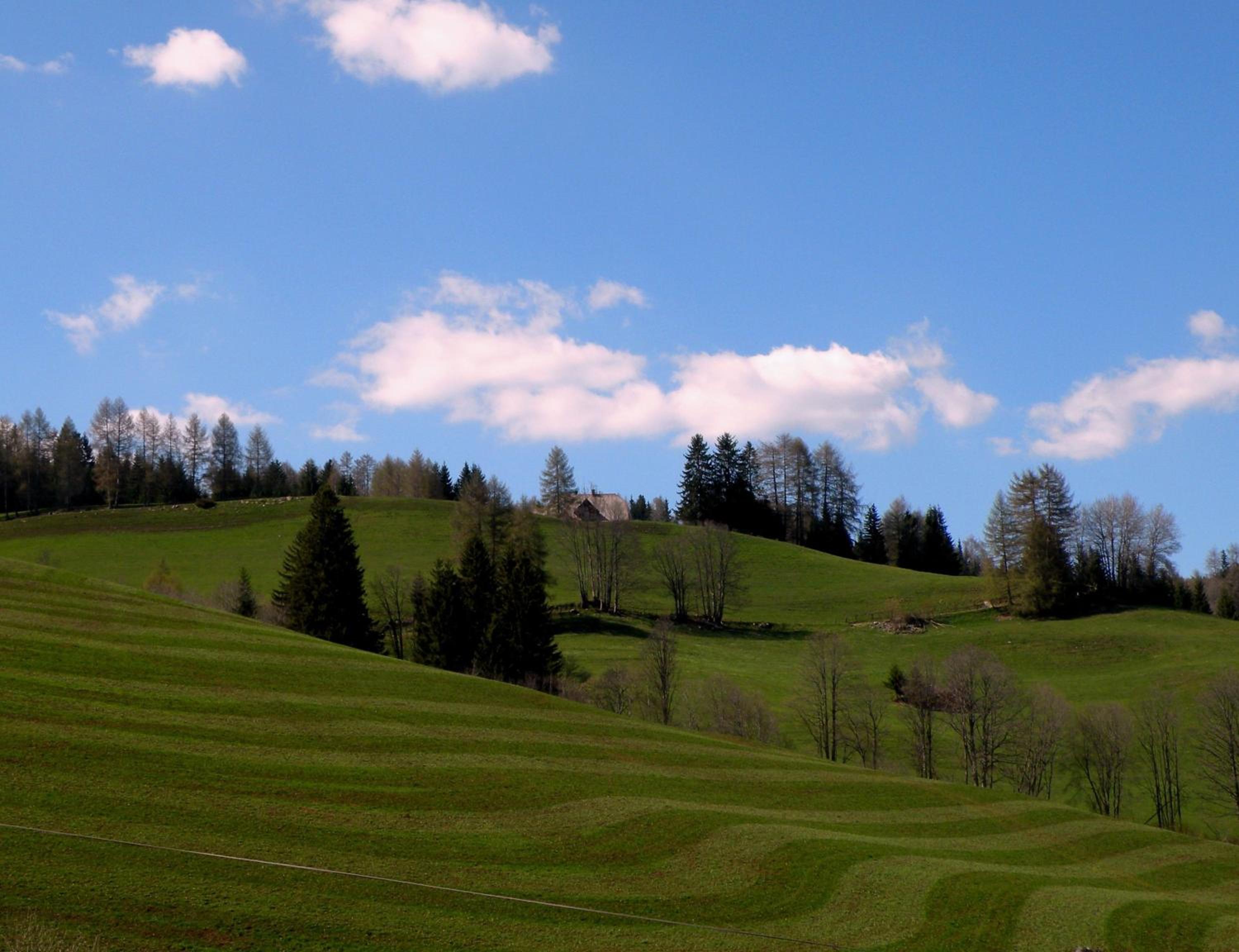 Urlaub im Zirbenland