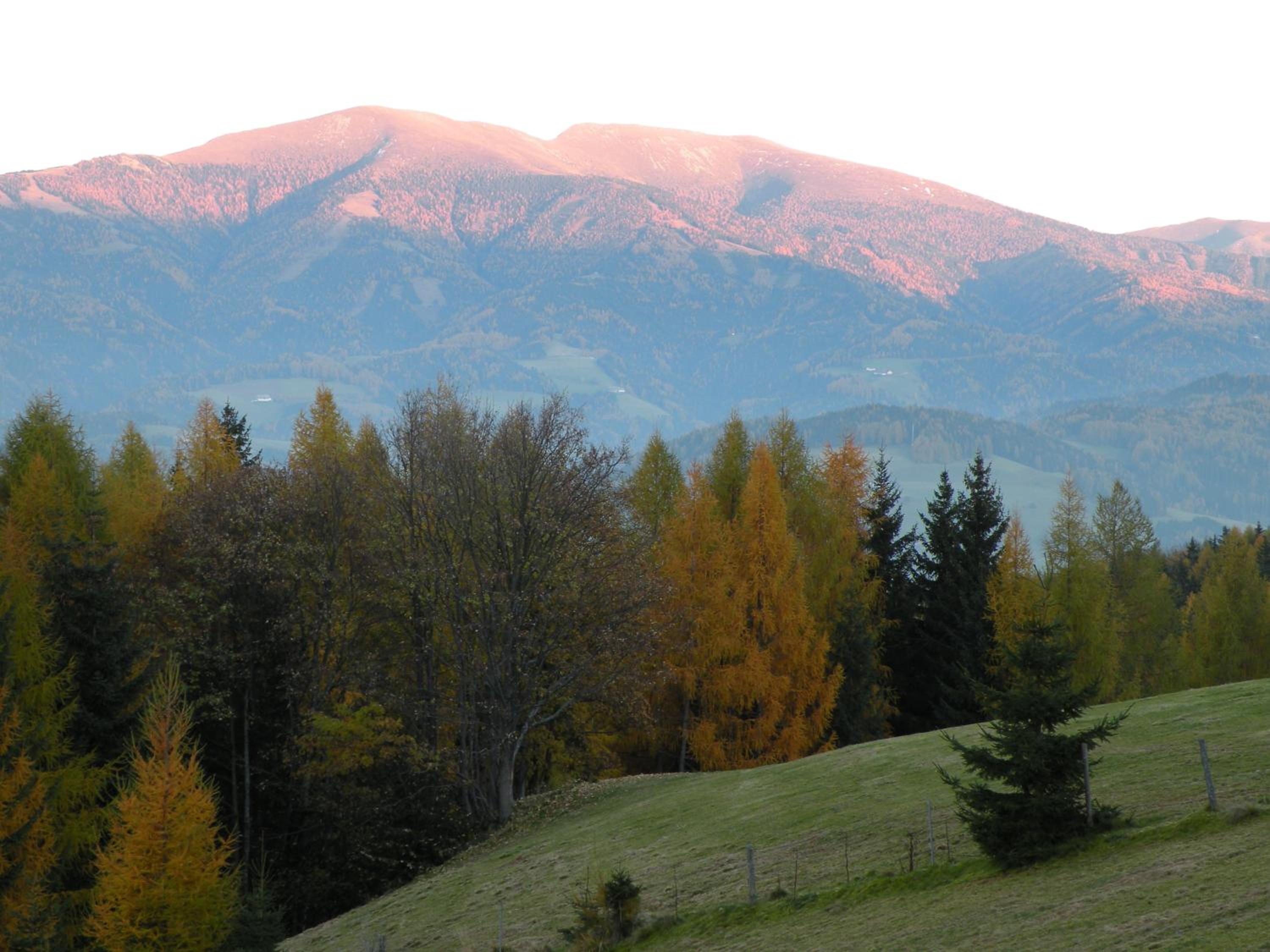 Urlaub im Zirbenland