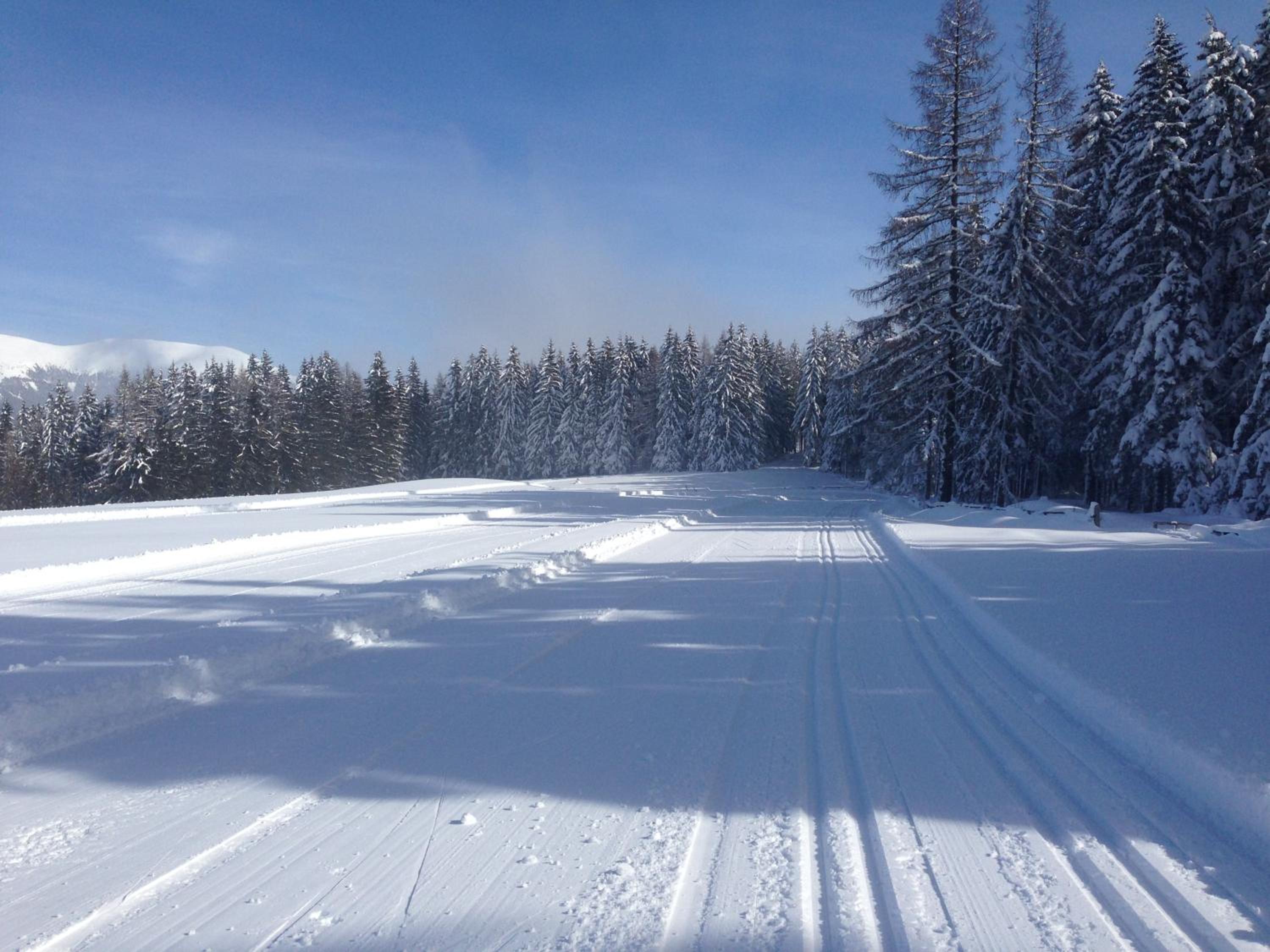 Urlaub im Zirbenland