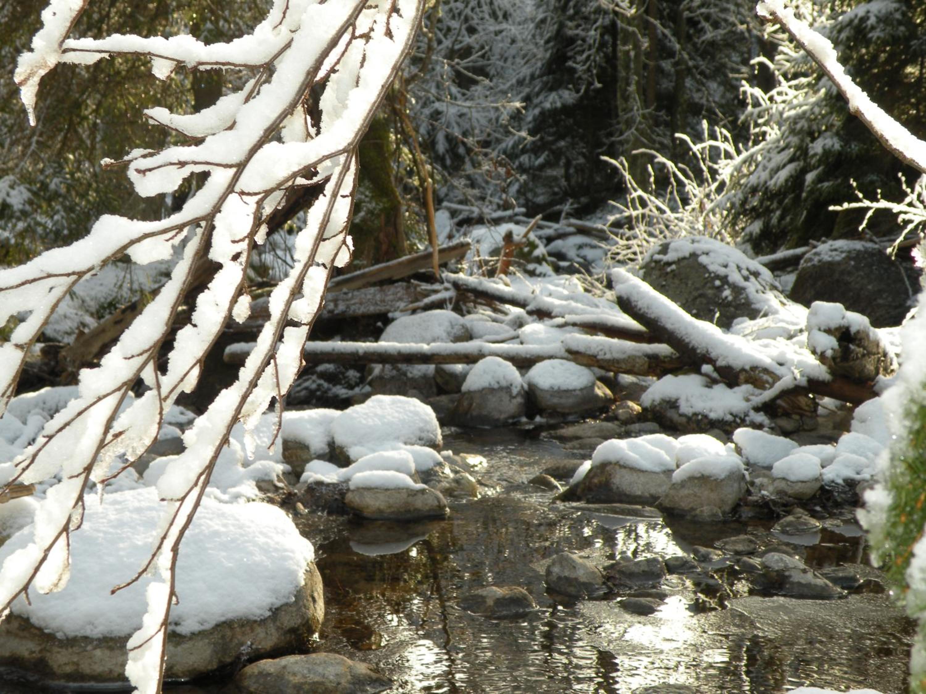Urlaub im Zirbenland