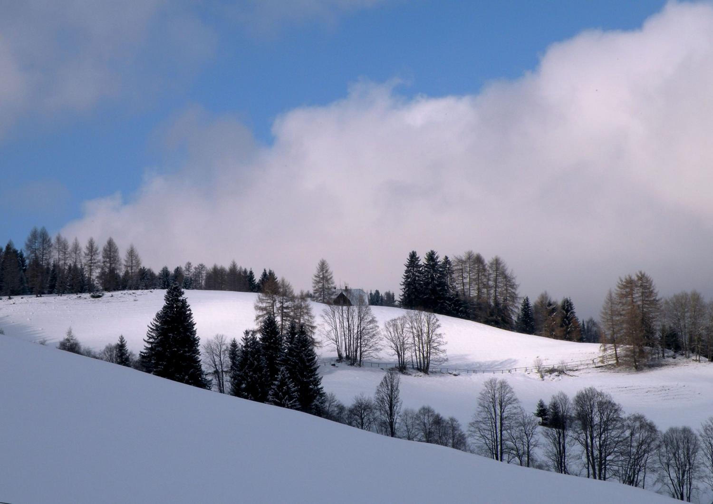 Urlaub im Zirbenland
