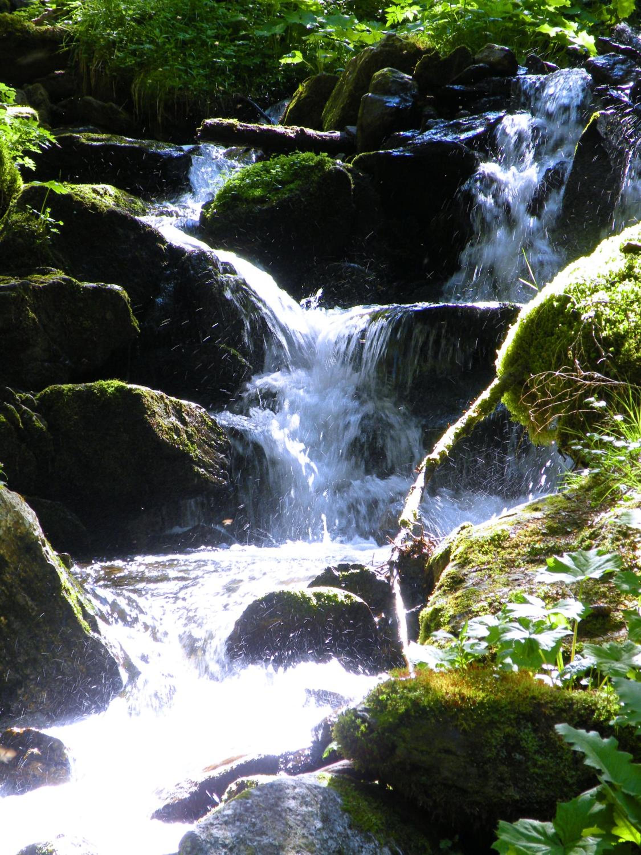 Urlaub im Zirbenland