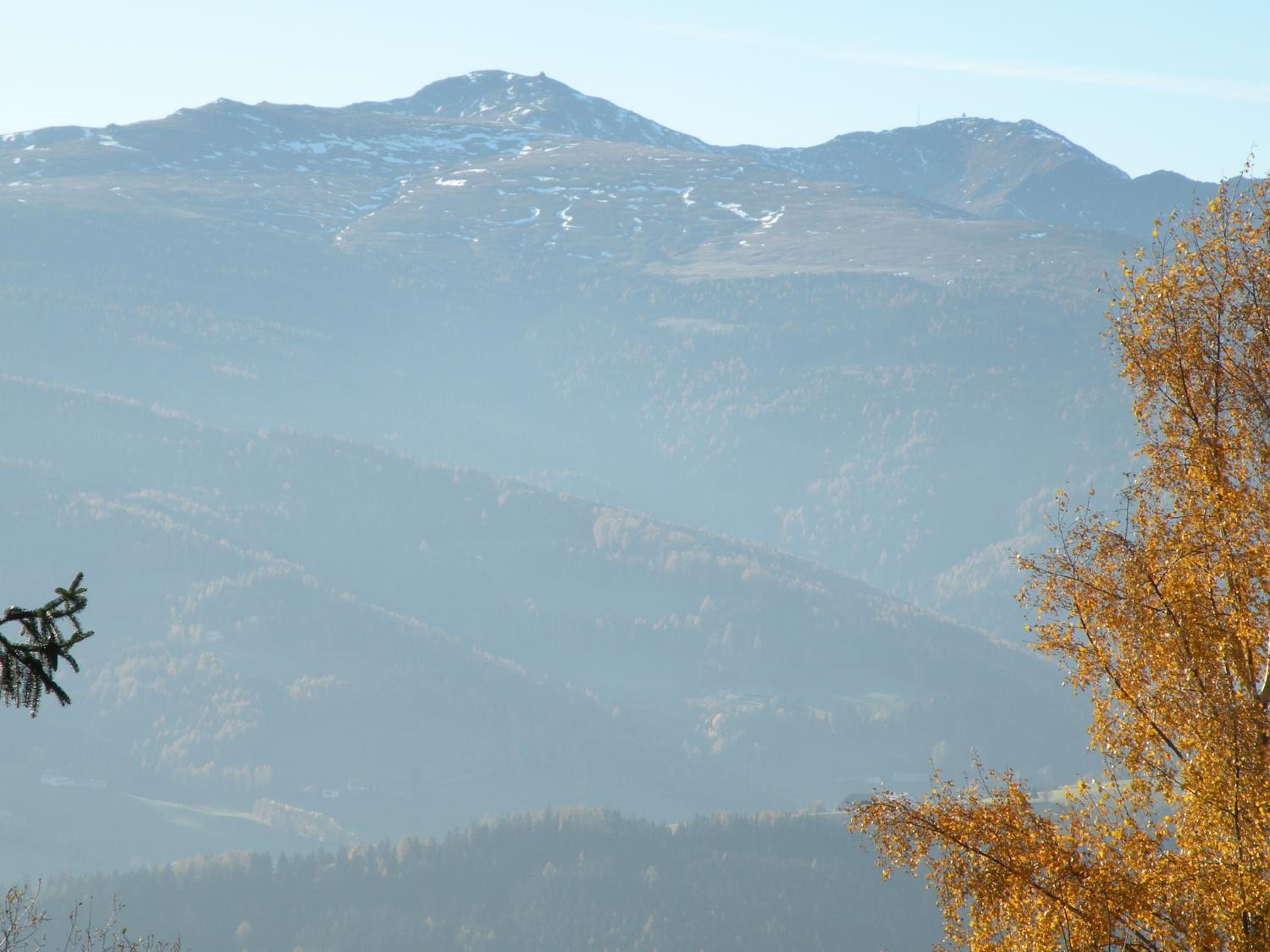 Urlaub im Zirbenland