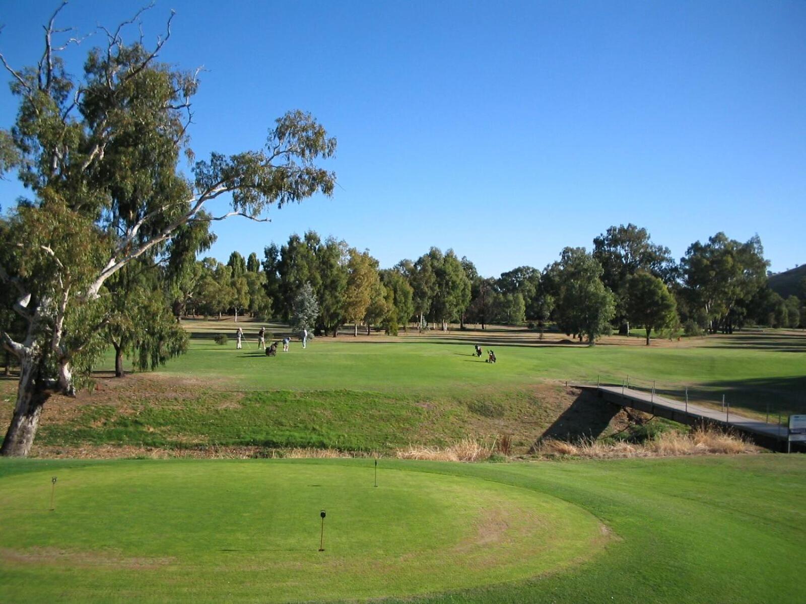 Gundagai Tourist Suites